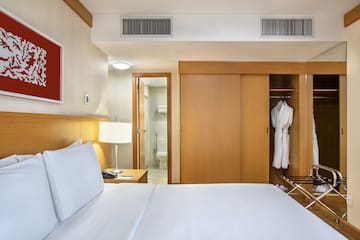 a room with a bed and a closet