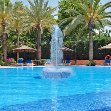 a pool with a fountain and palm trees