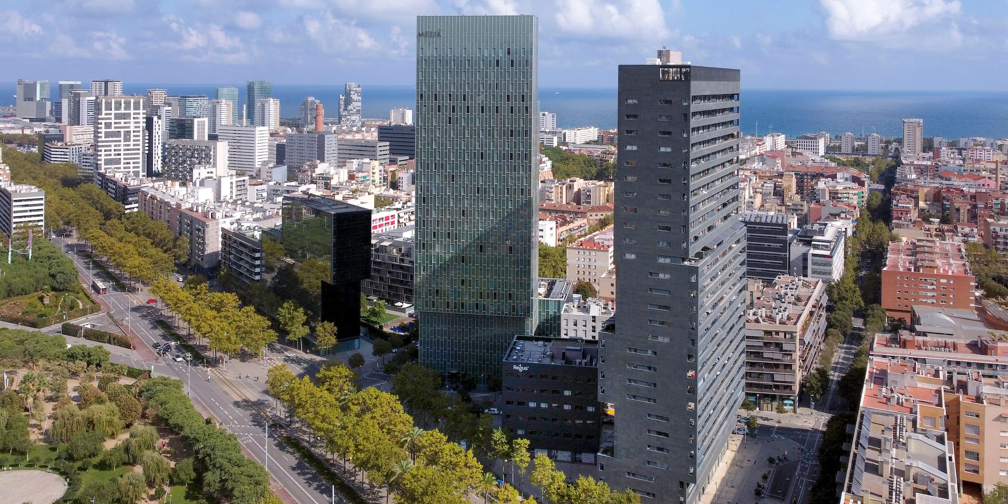 a city with trees and buildings