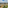 Brasilia city view: modern buildings, curved roads, green parks, large fountain.