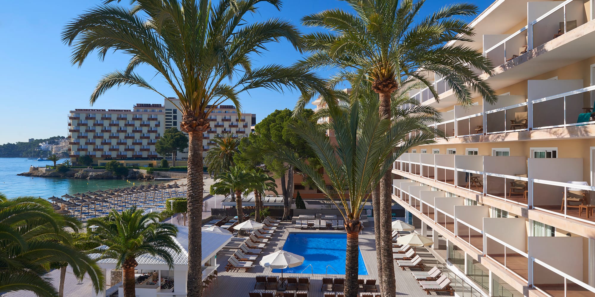 a pool and palm trees by a building