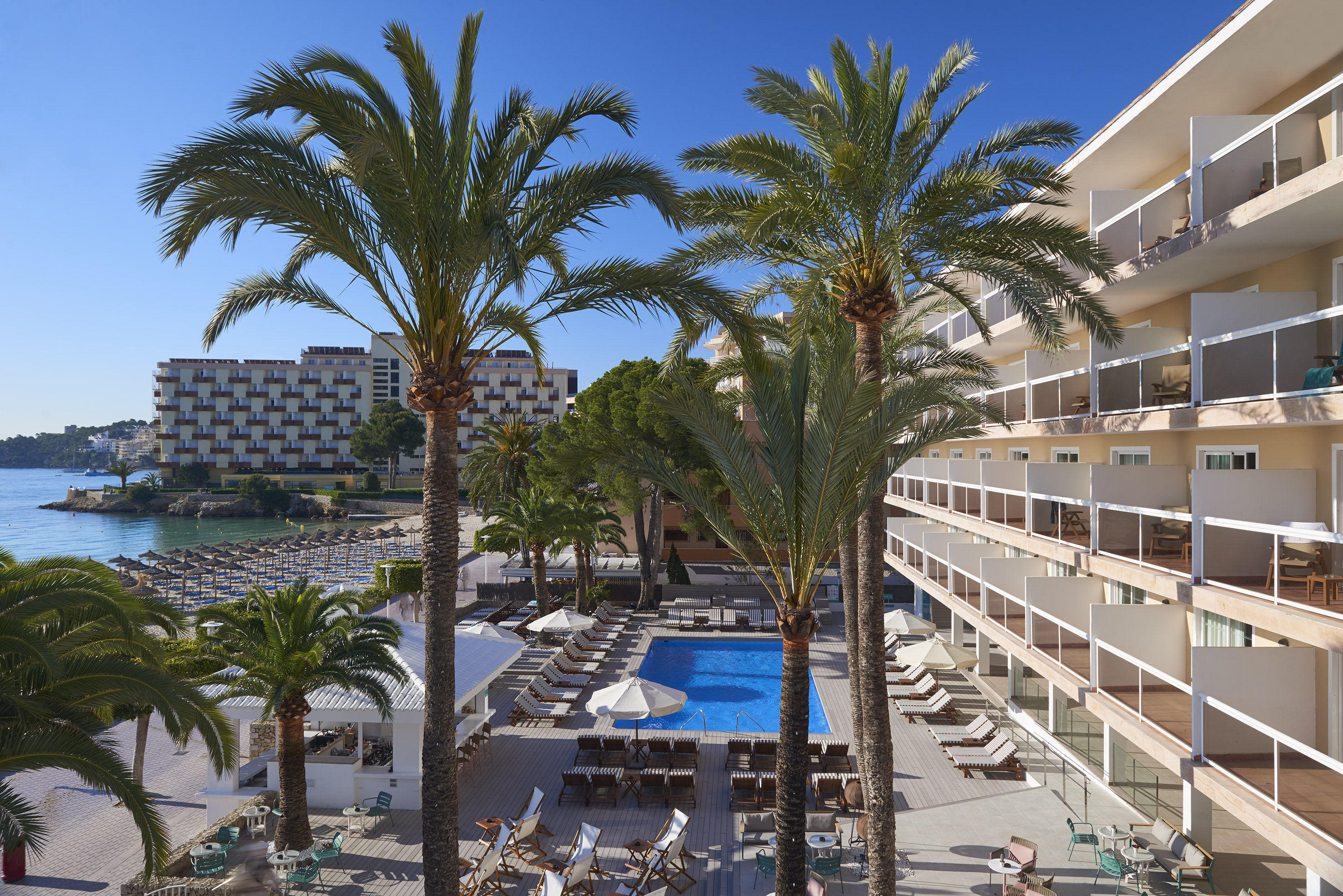 a pool and palm trees by a building