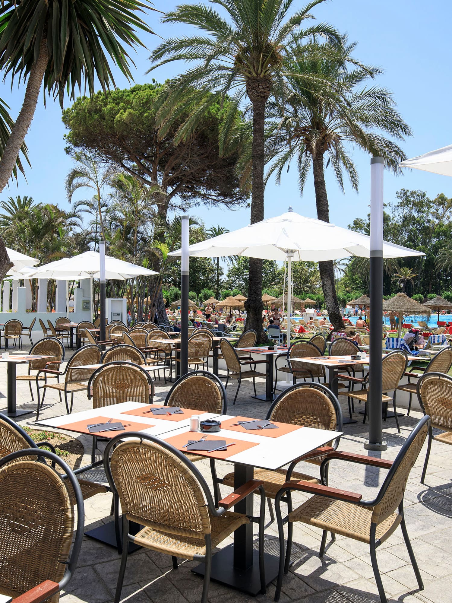tables and chairs outside with umbrellas and trees