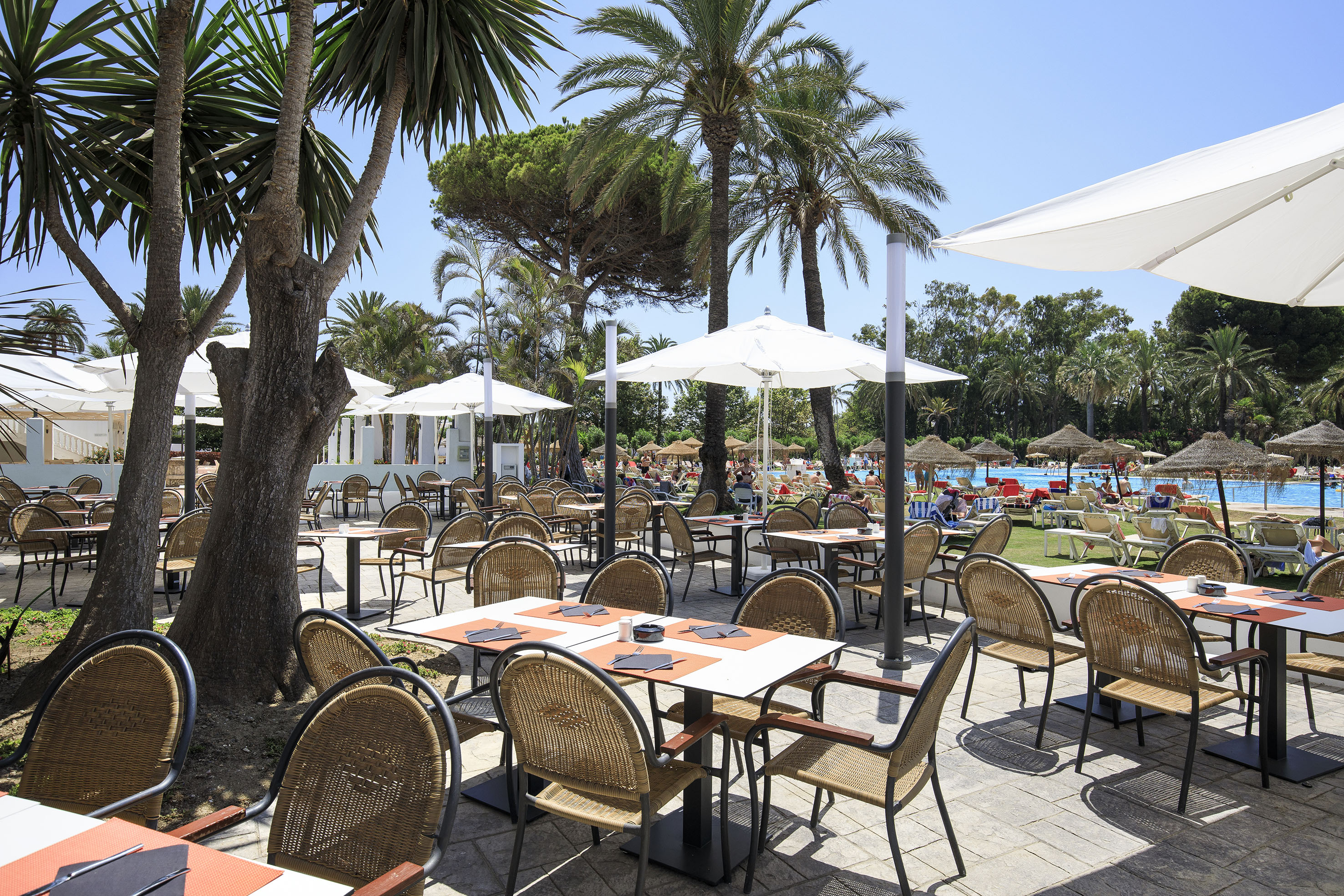 Outdoor resort restaurant patio, palm trees, umbrellas, and pool lounge area.