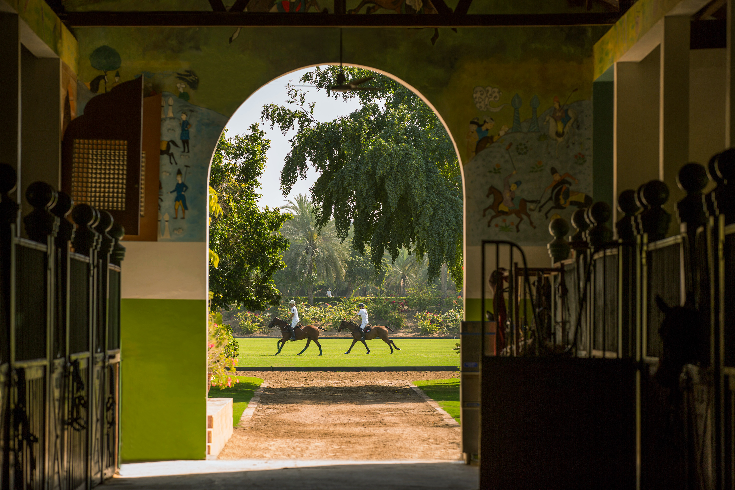 people riding horses in a grassy area