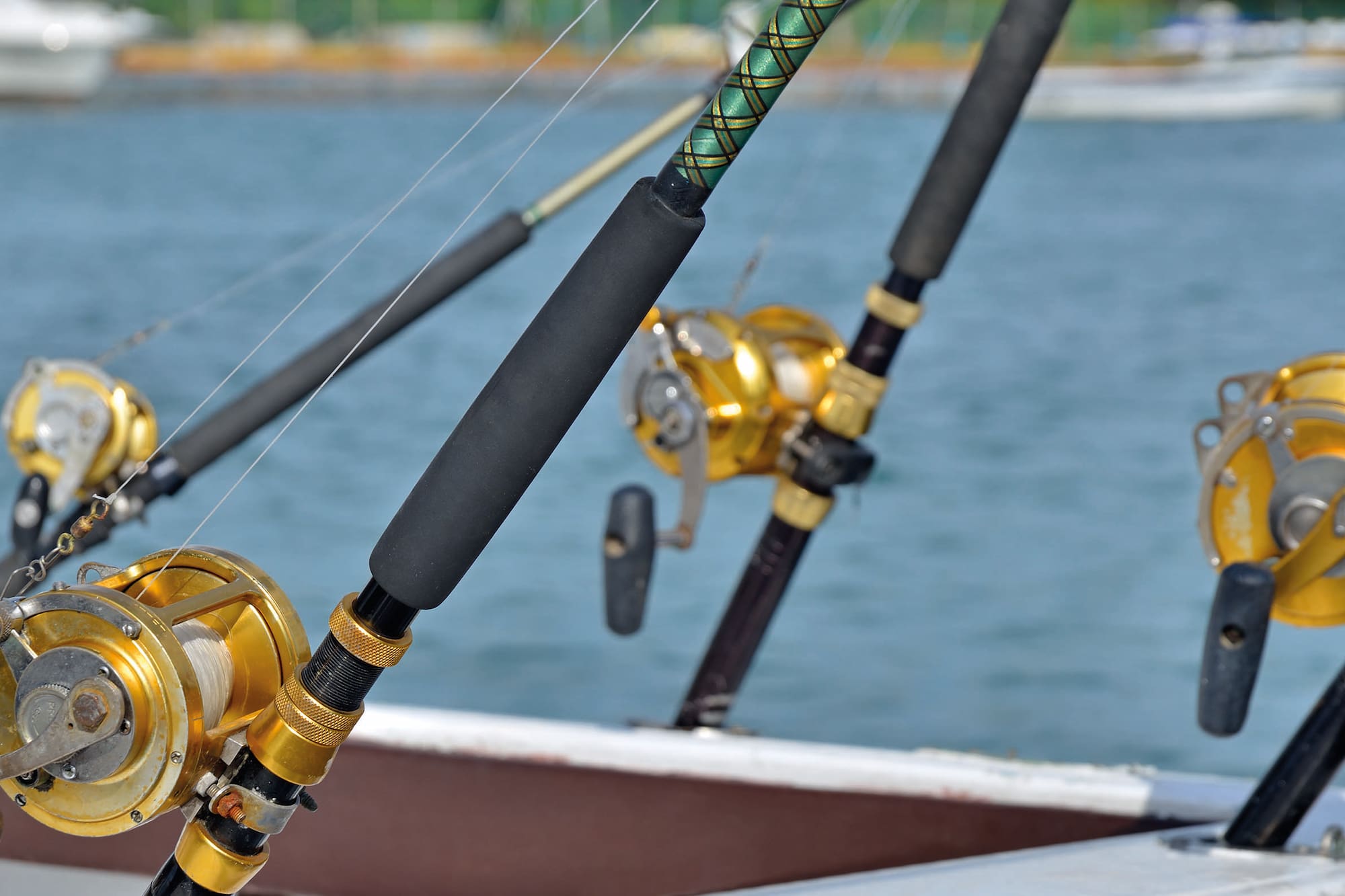 fishing rods and a boat on the water
