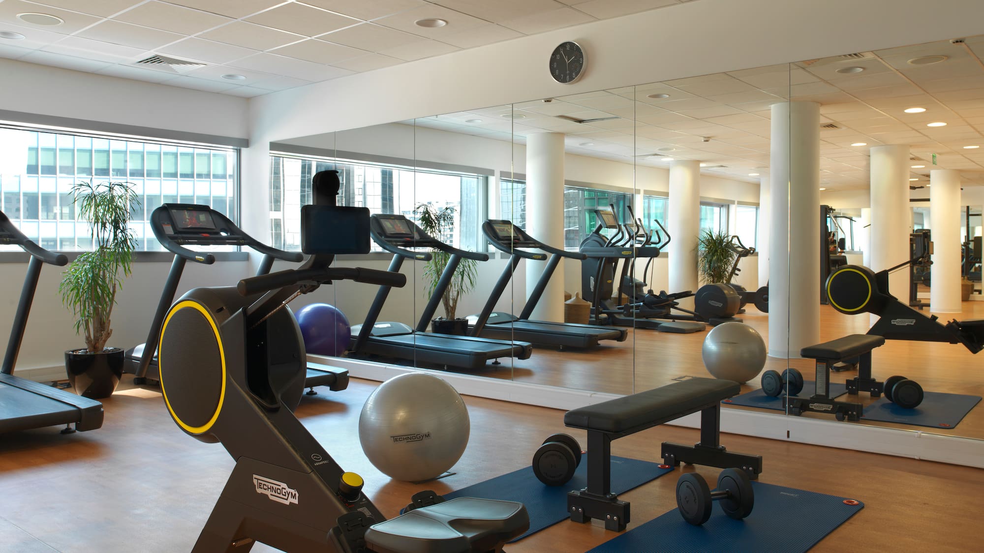 Technogym gym with treadmills, rowing machine, dumbbells, and stability balls.