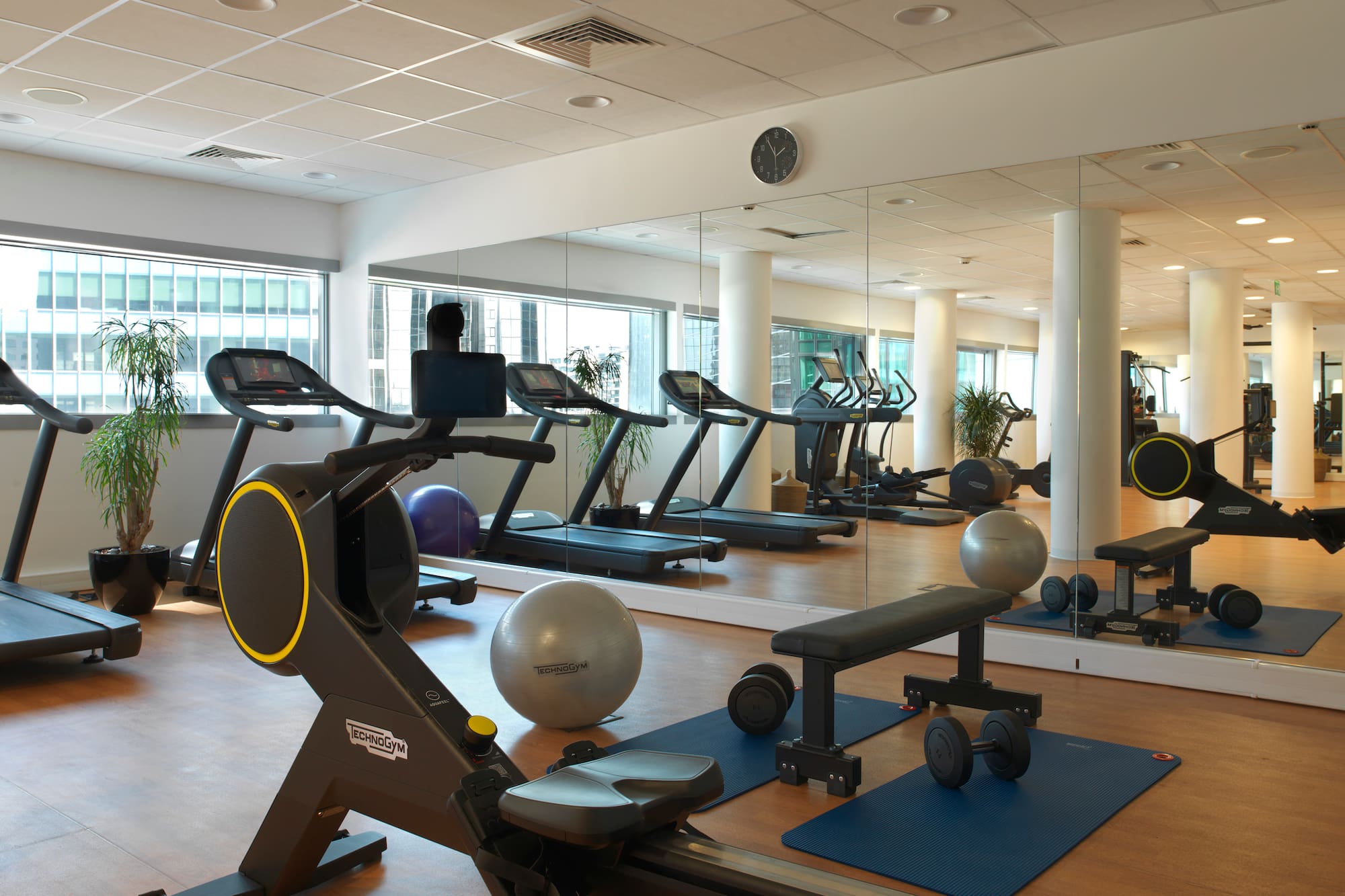 Technogym gym with treadmills, rowing machine, weights, and exercise balls.