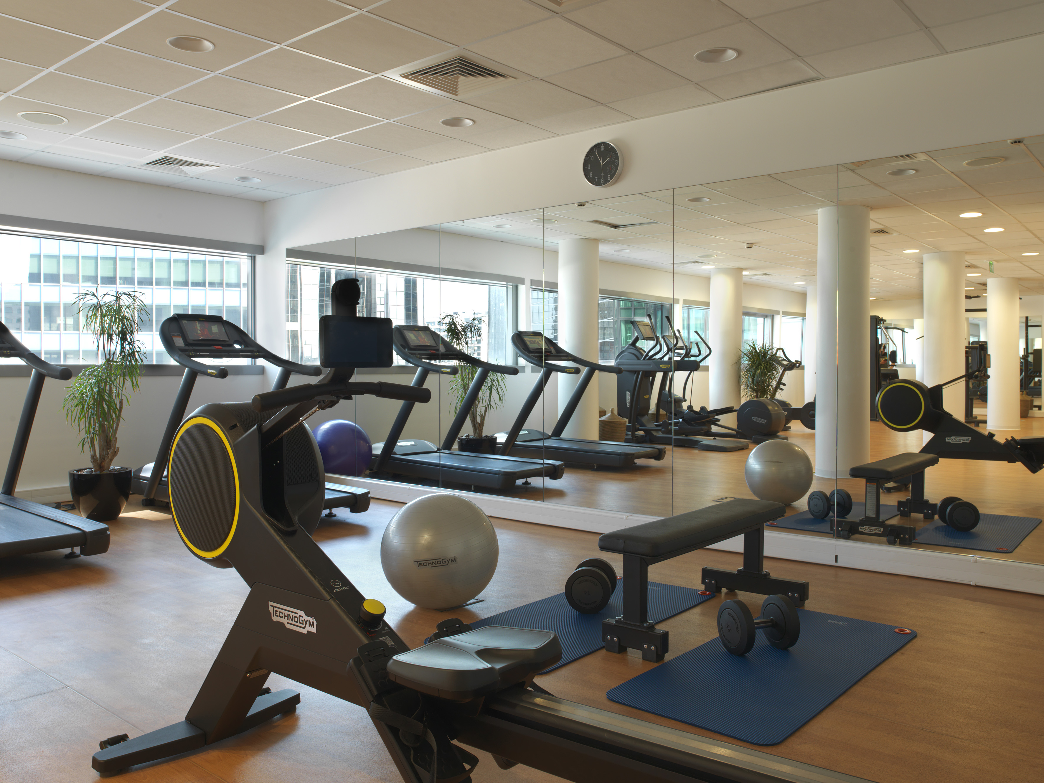 Technogym gym with treadmills, rowing machine, weights, and exercise balls.