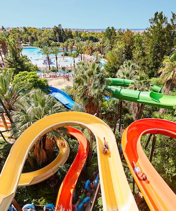 a water park with colorful slides and trees