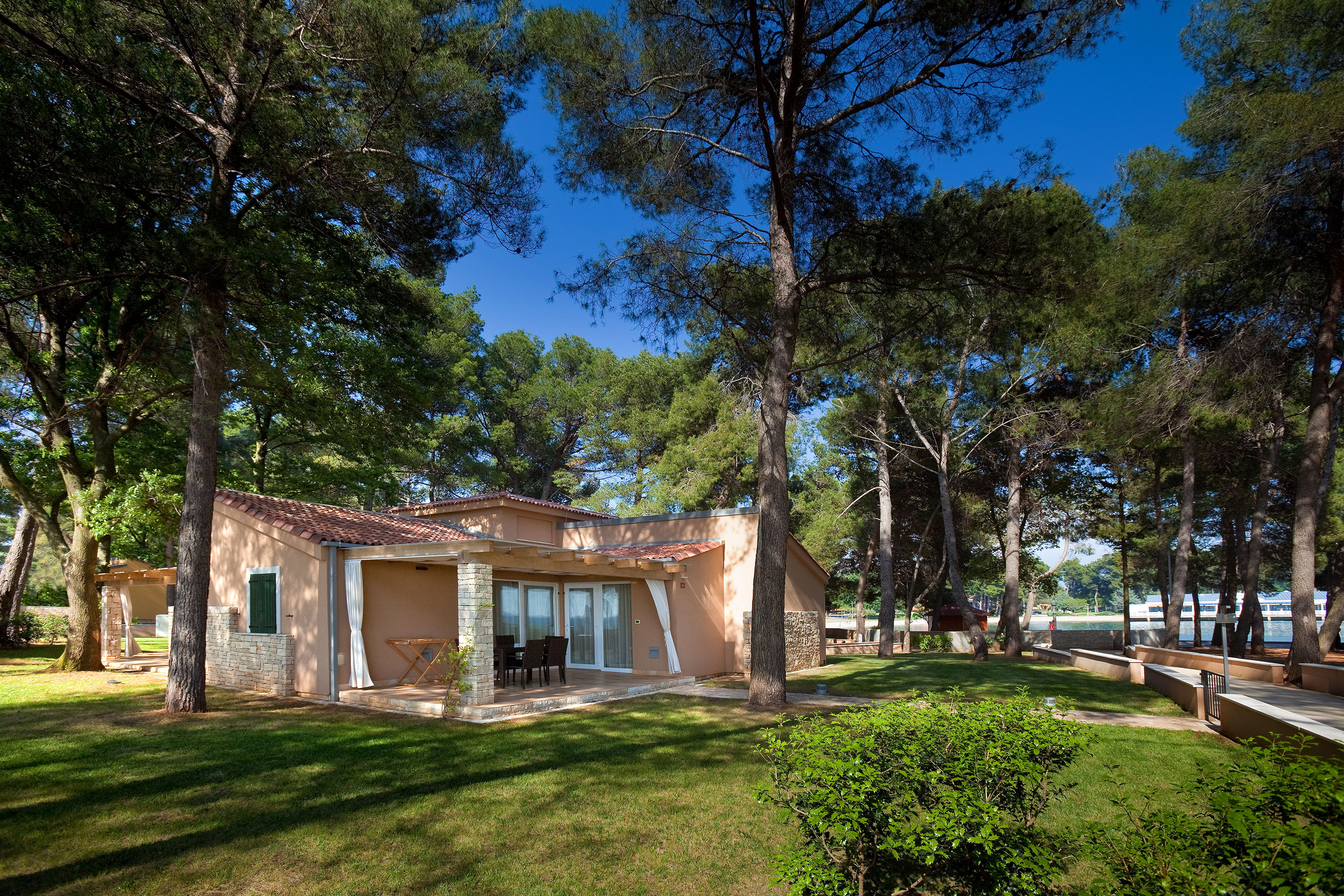 a house with trees around it