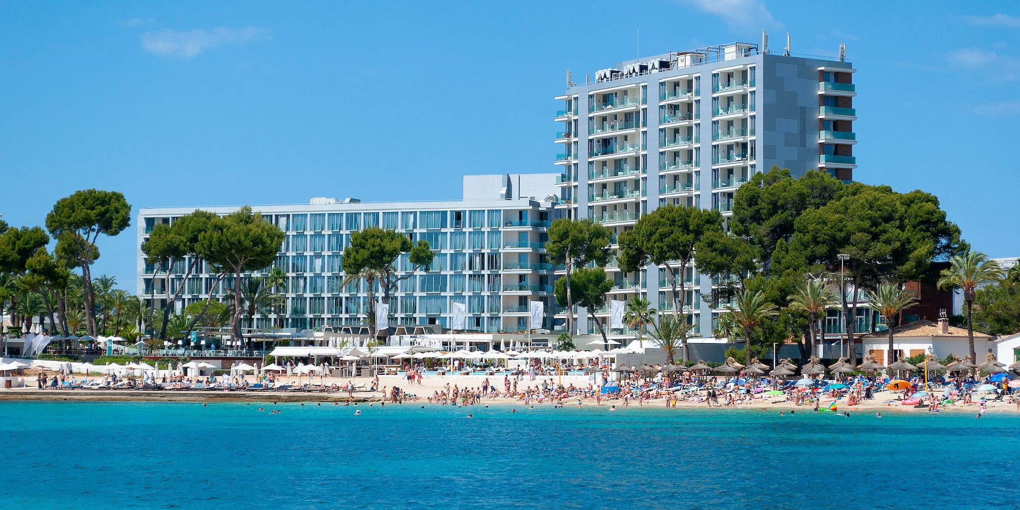 a group of people on a beach