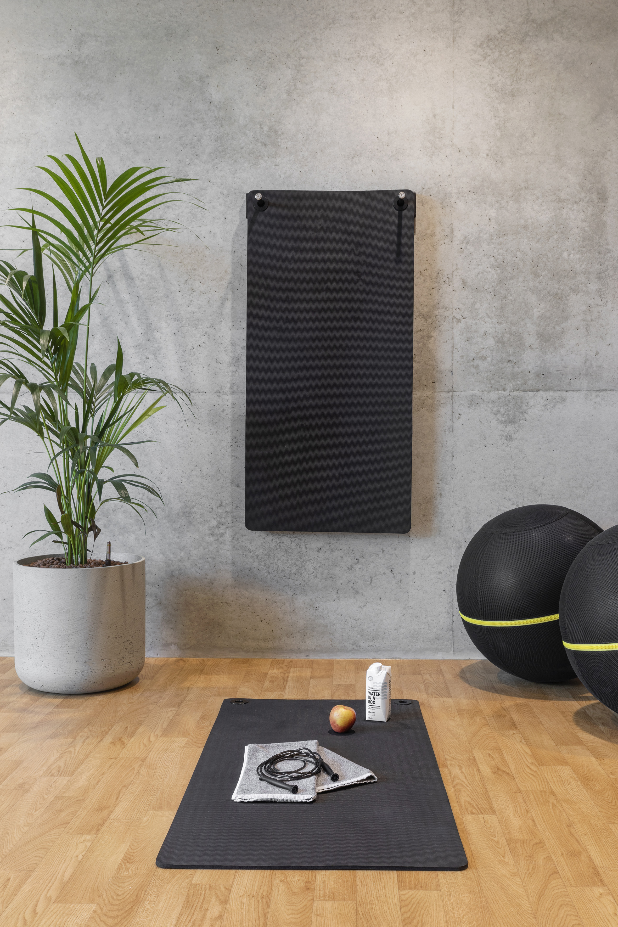 Modern home gym with workout mat, jump rope, water, and medicine balls.