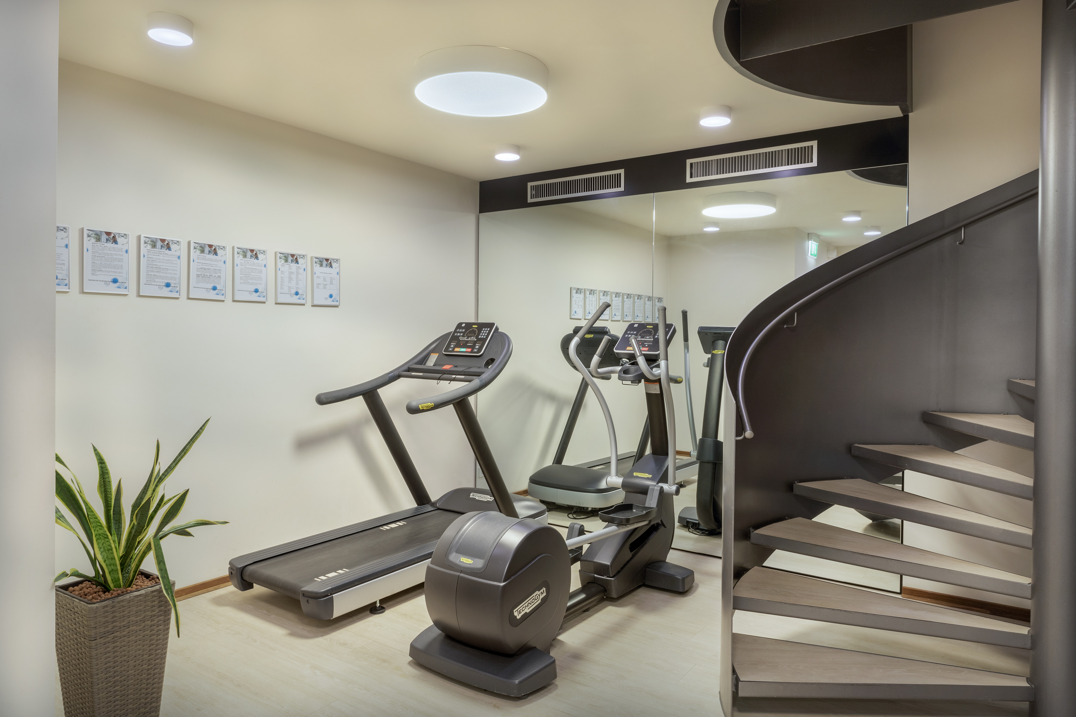 Modern fitness room with treadmill, elliptical, mirror, and spiral staircase.