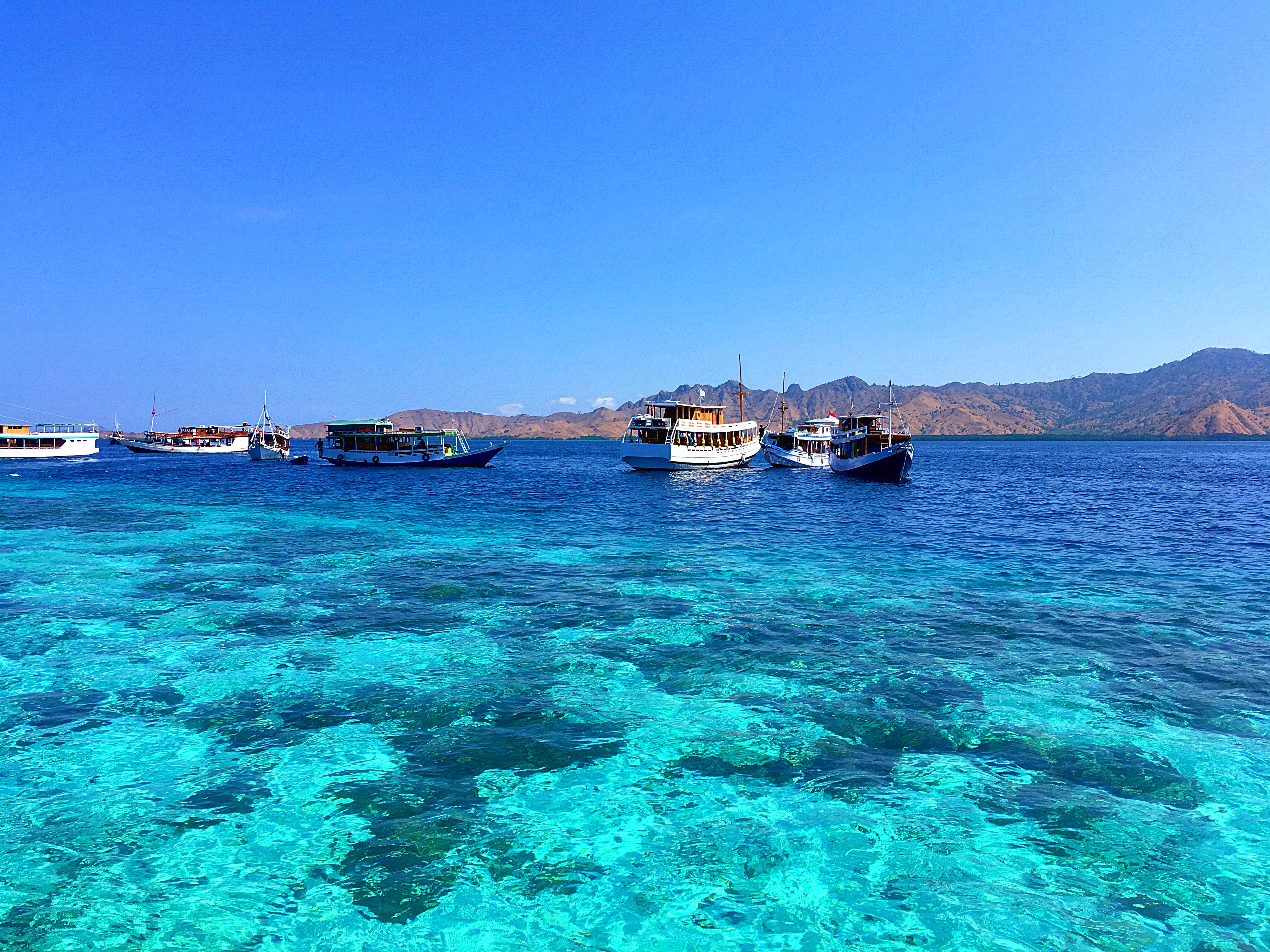 boats in the water with mountains in the background