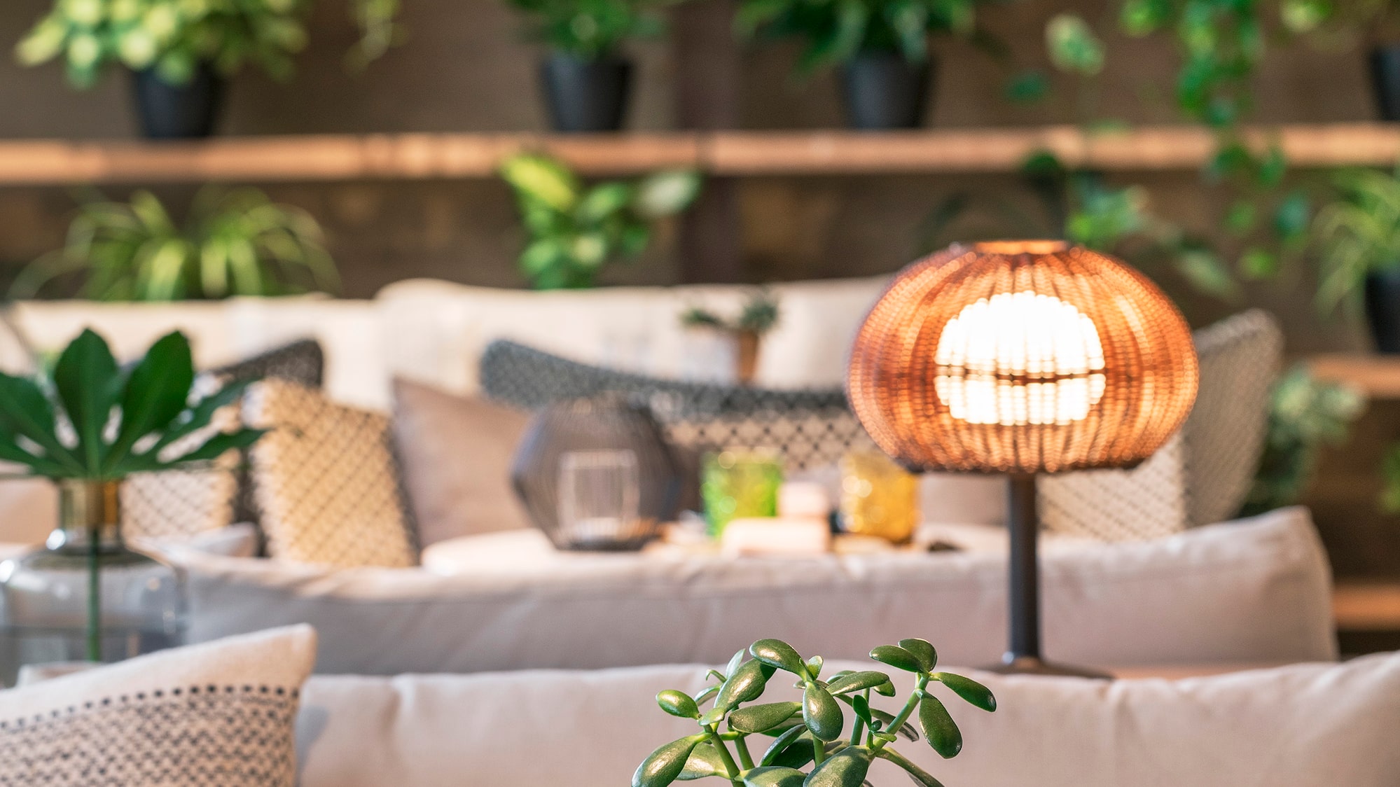 a table with a plant on it