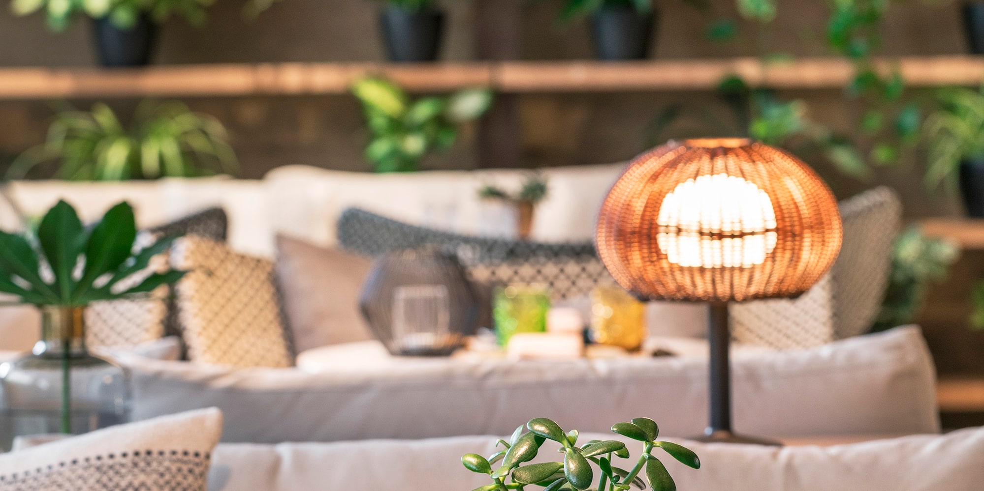 a table with a plant on it