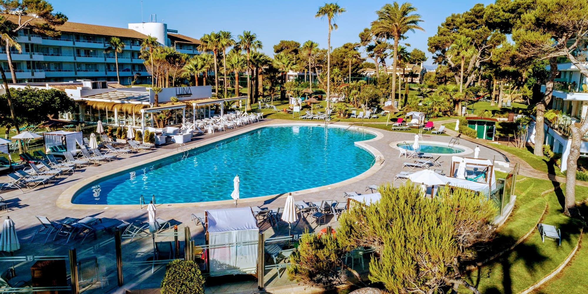 a swimming pool with palm trees and a building