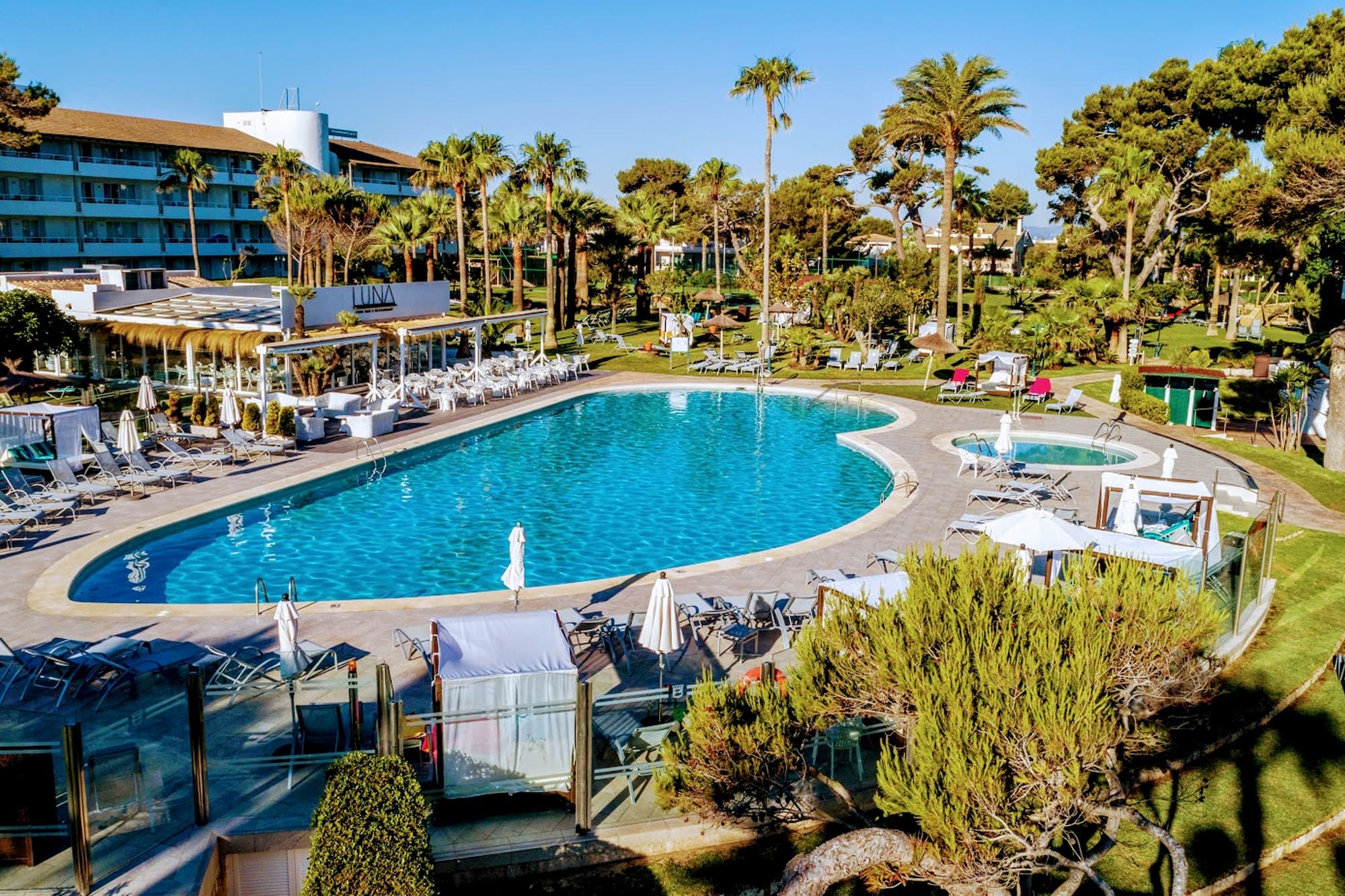 a swimming pool with palm trees and a building