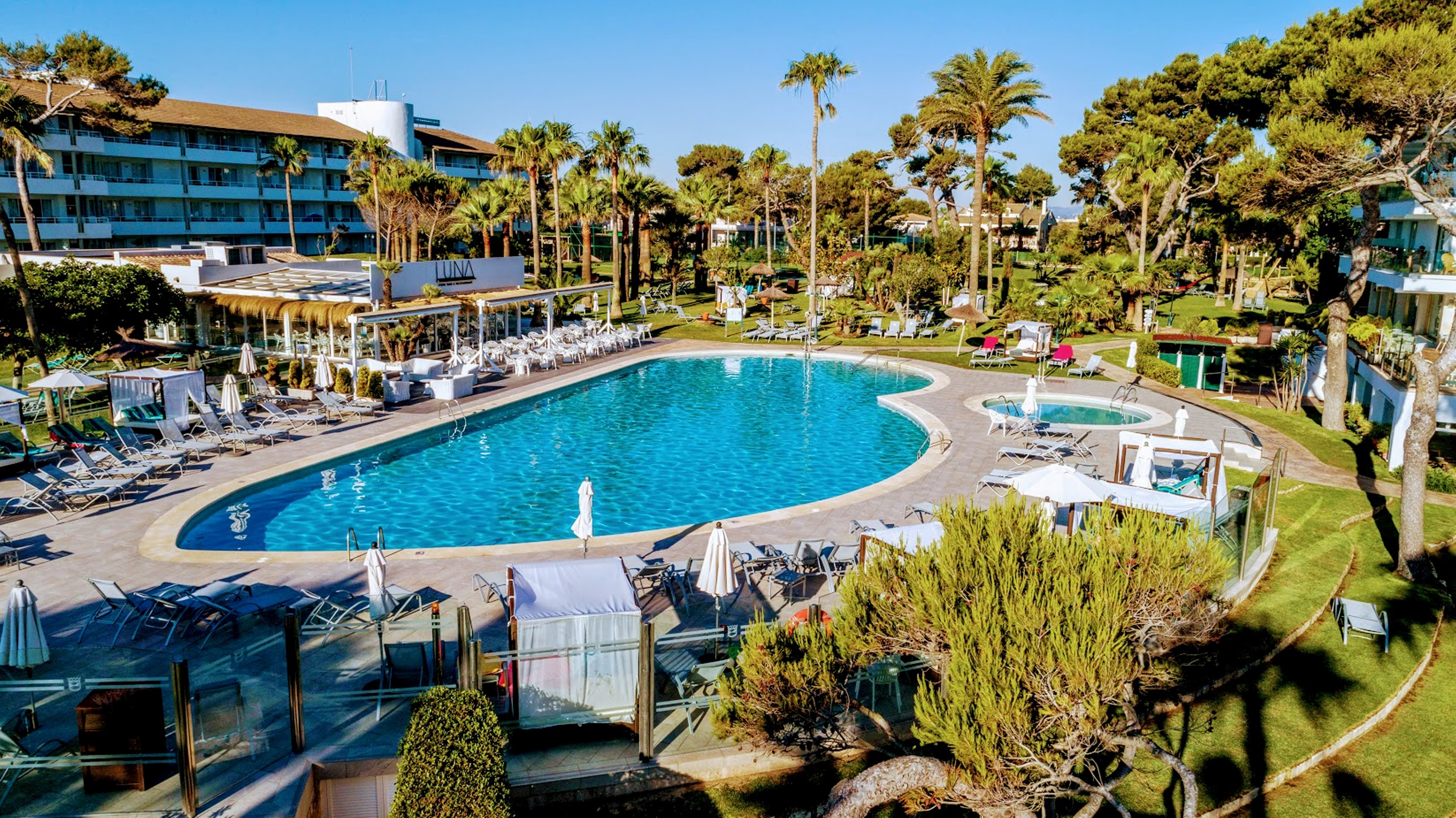a swimming pool with palm trees and a building