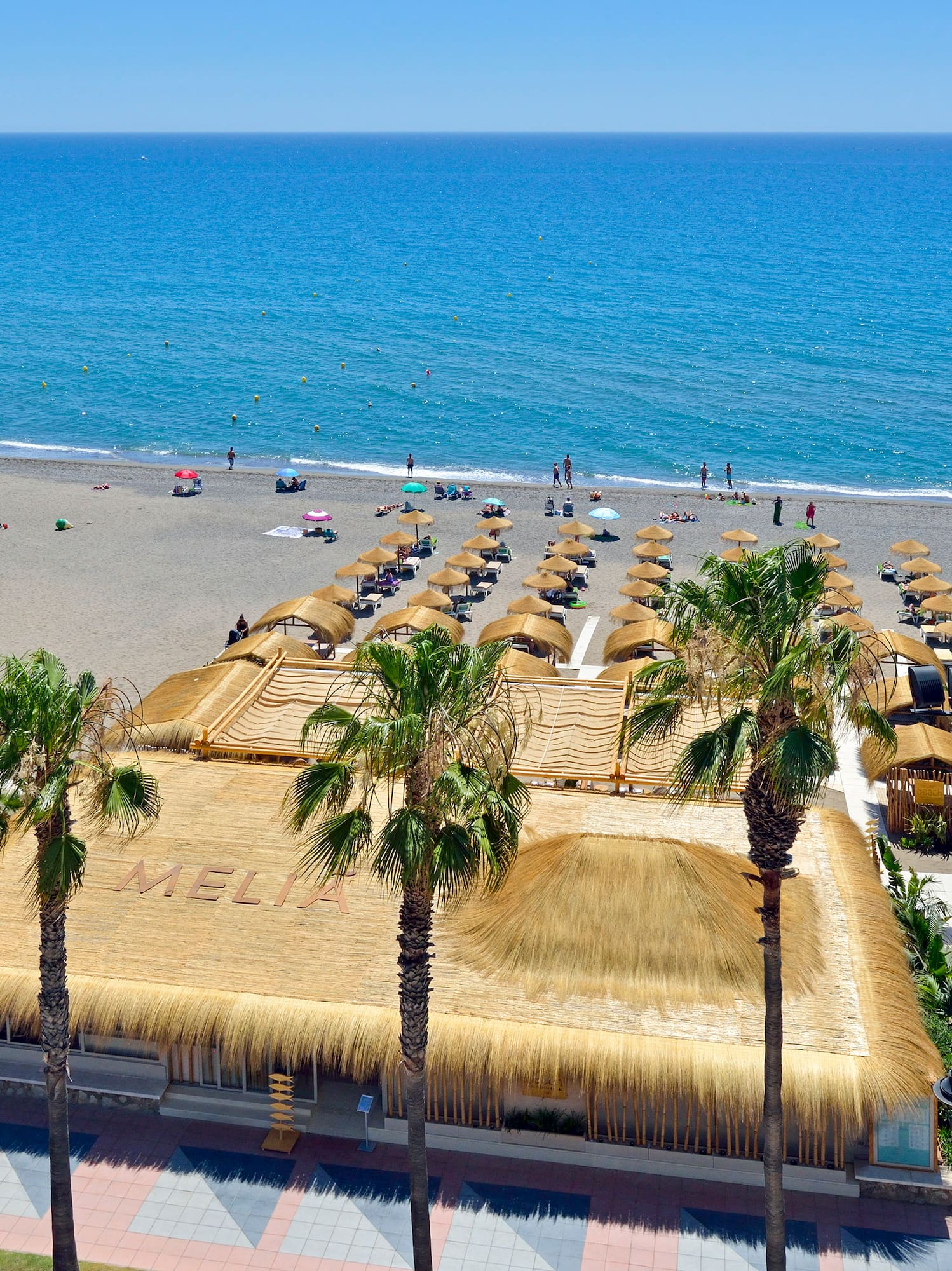 a beach with palm trees and a building