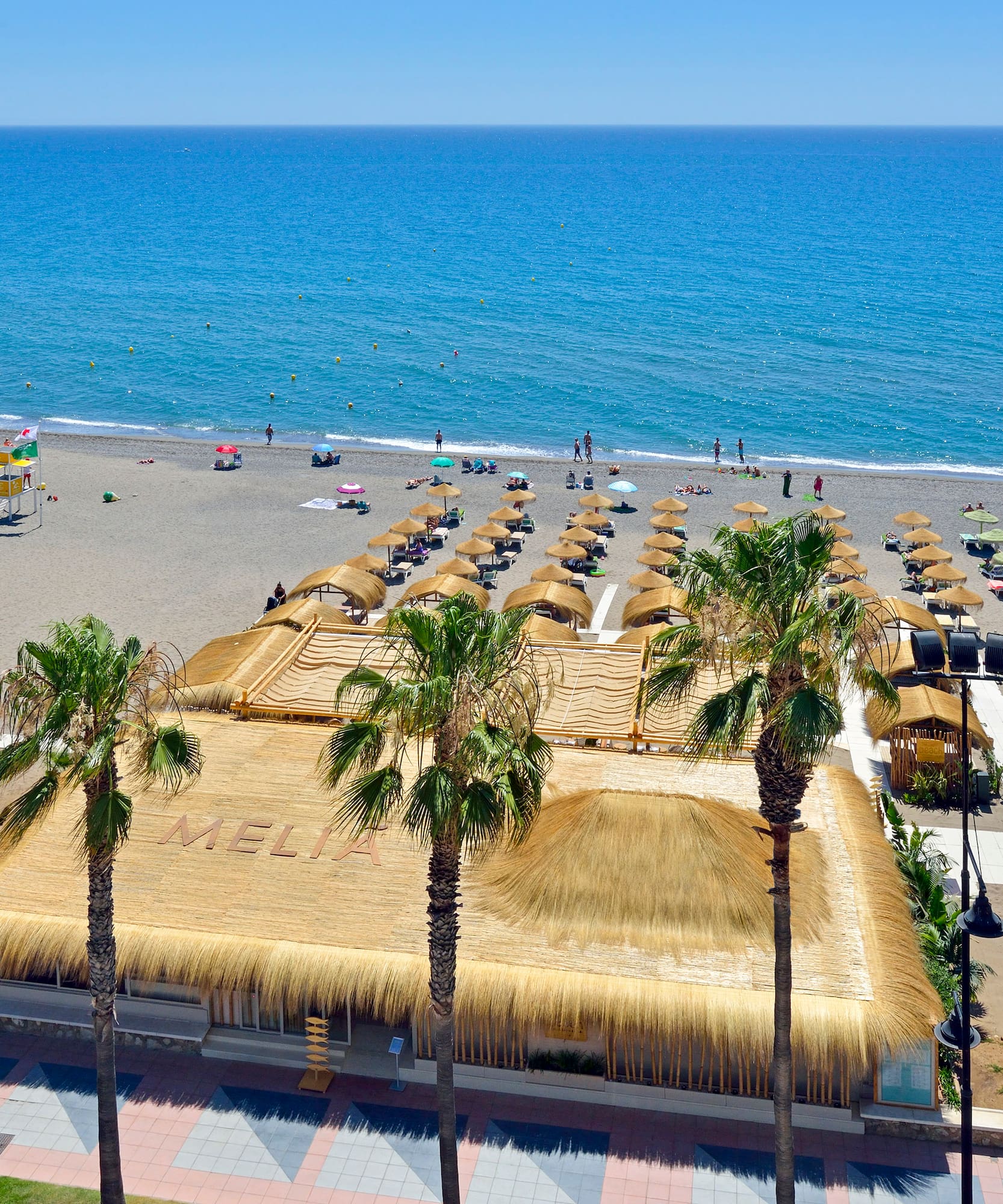 a beach with palm trees and a building