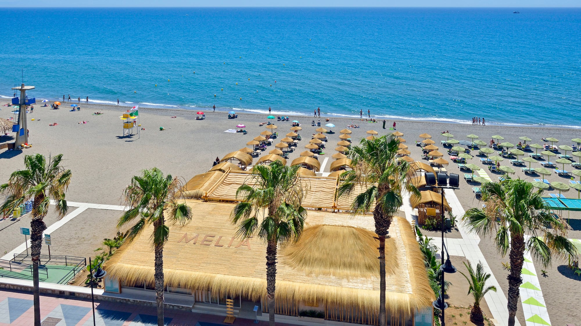a beach with palm trees and a building