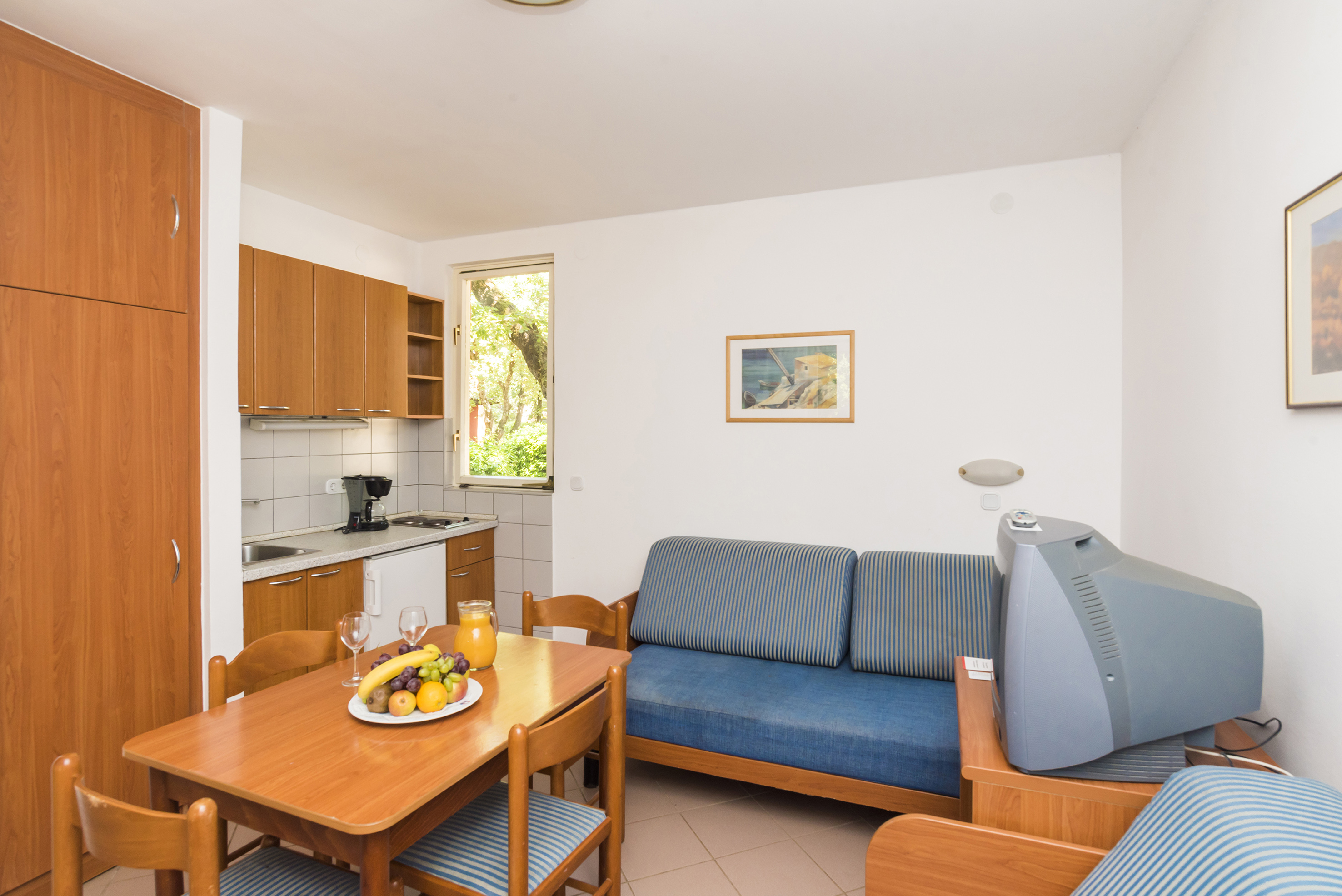 a room with a couch and a tv