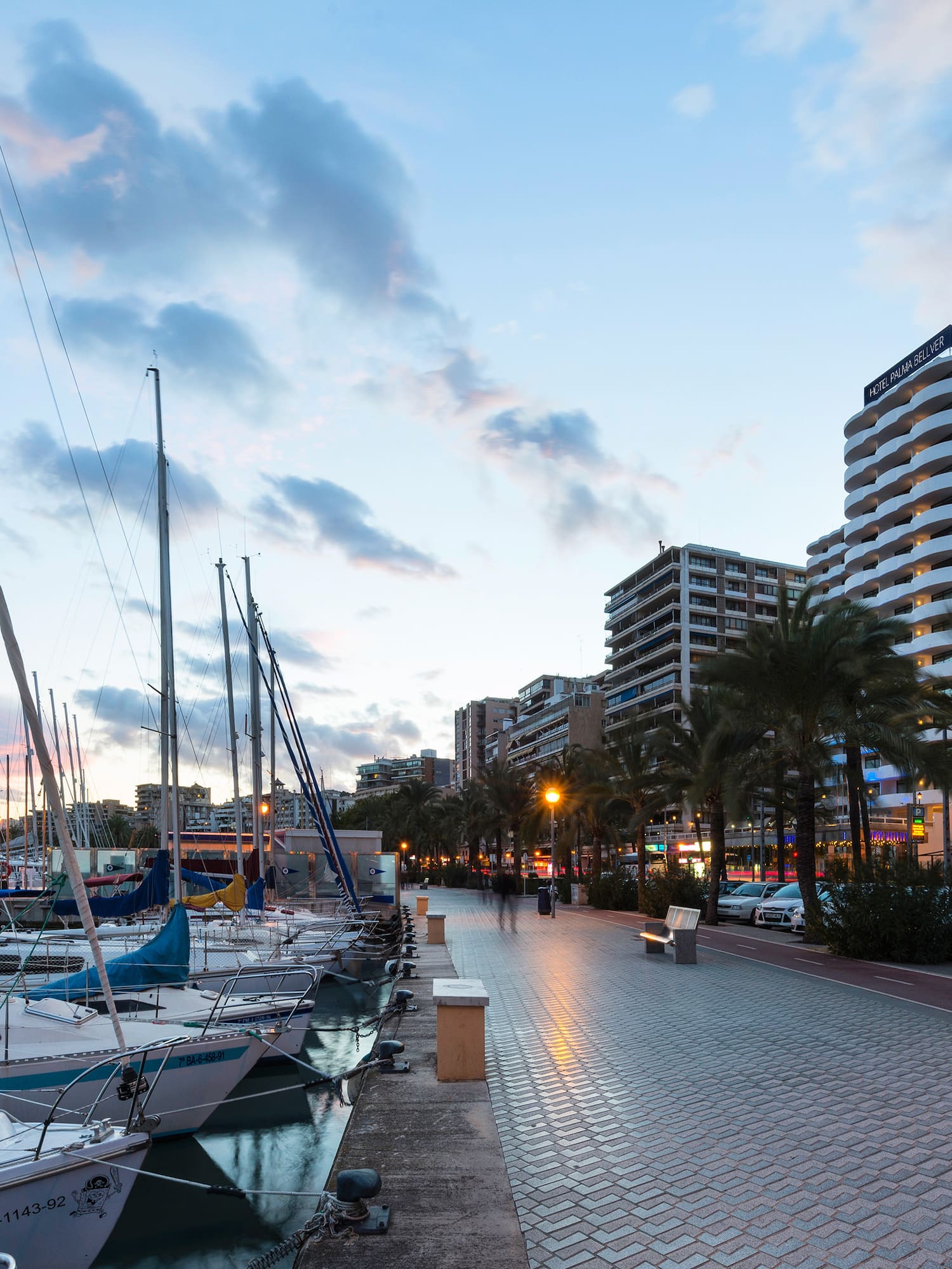 a walkway with boats and palm trees