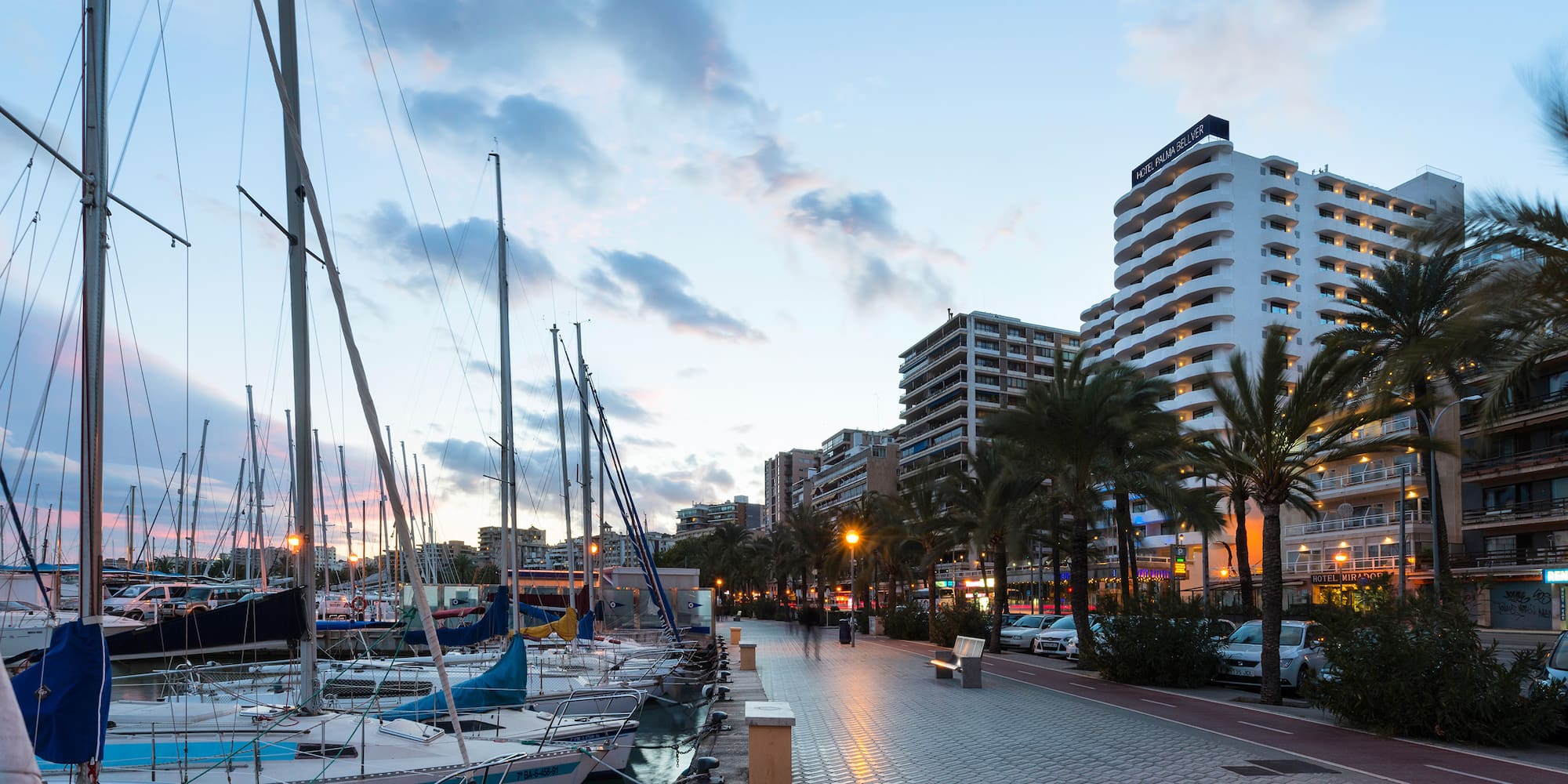 a walkway with boats and palm trees