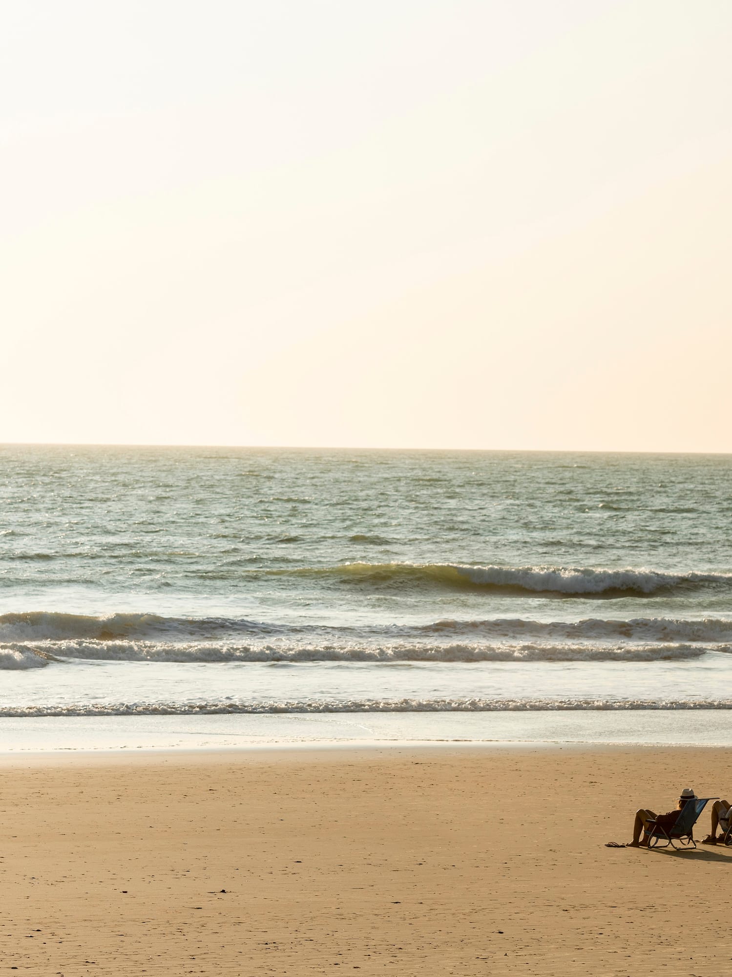 a horse drawn carriage on a beach