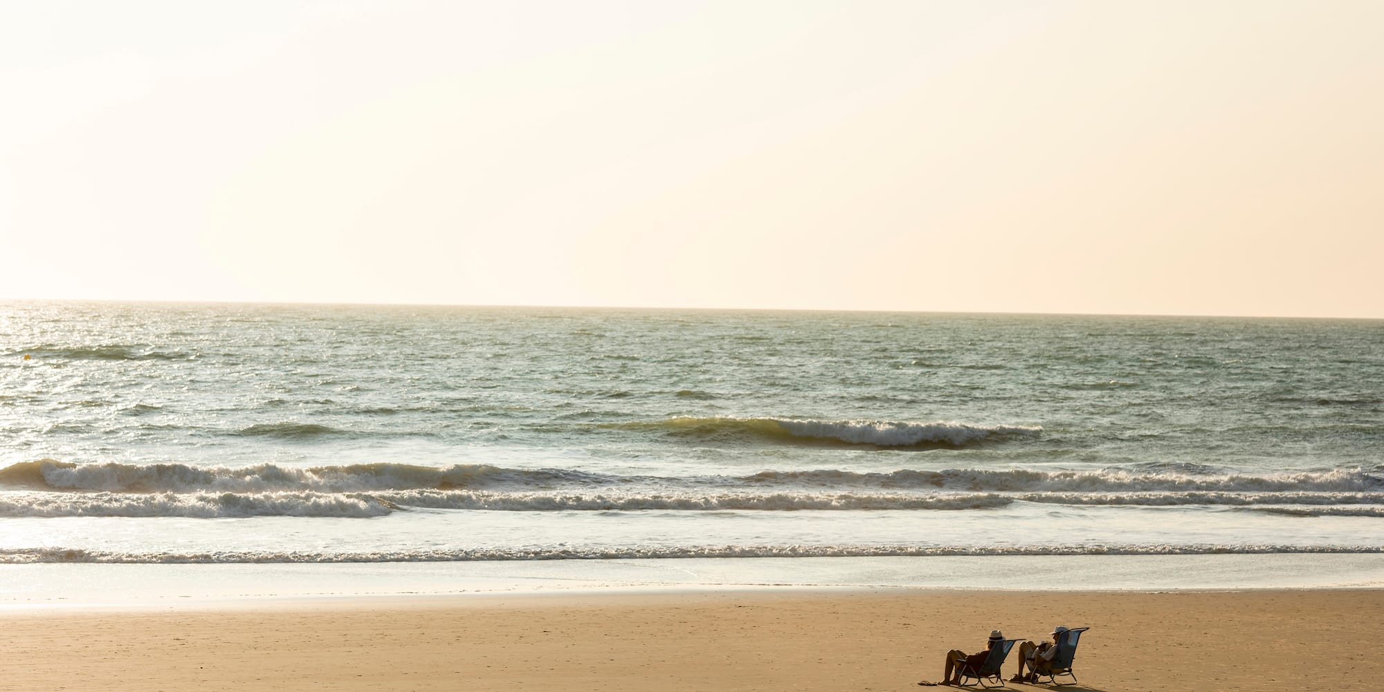 a horse drawn carriage on a beach
