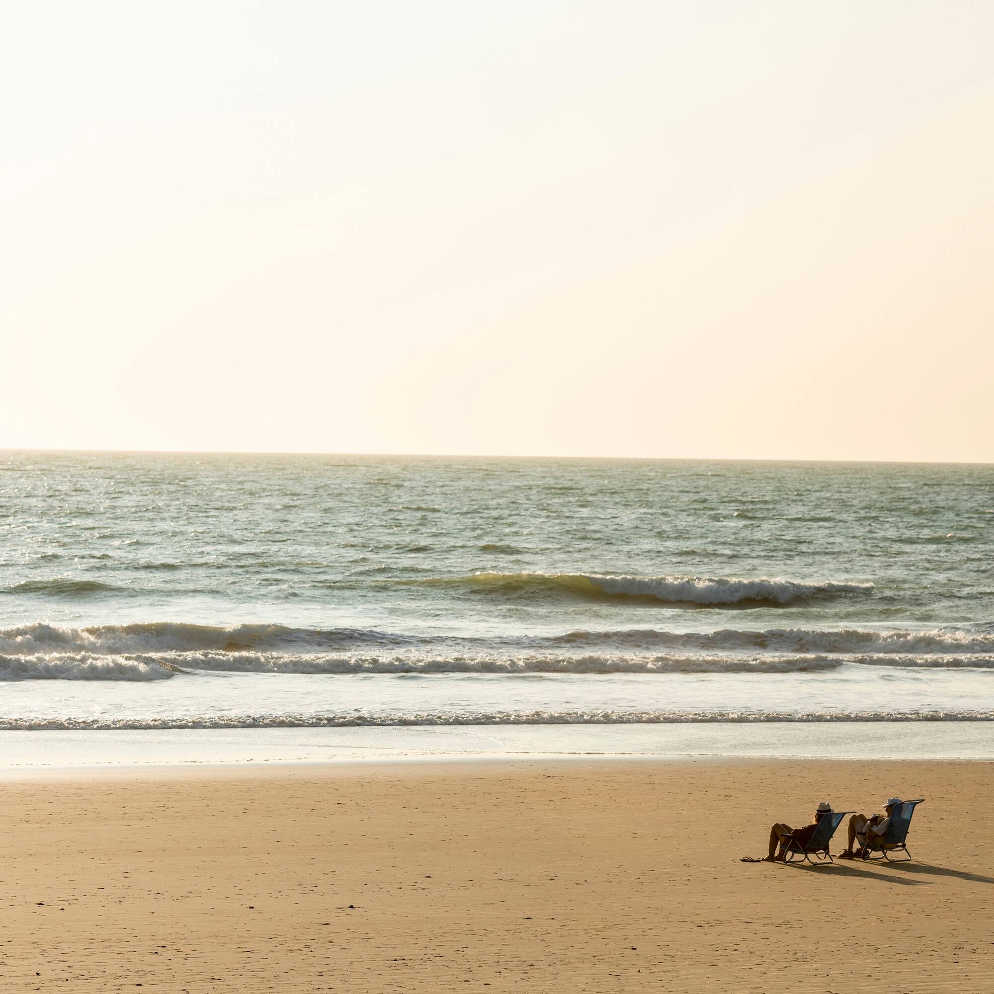 a horse drawn carriage on a beach