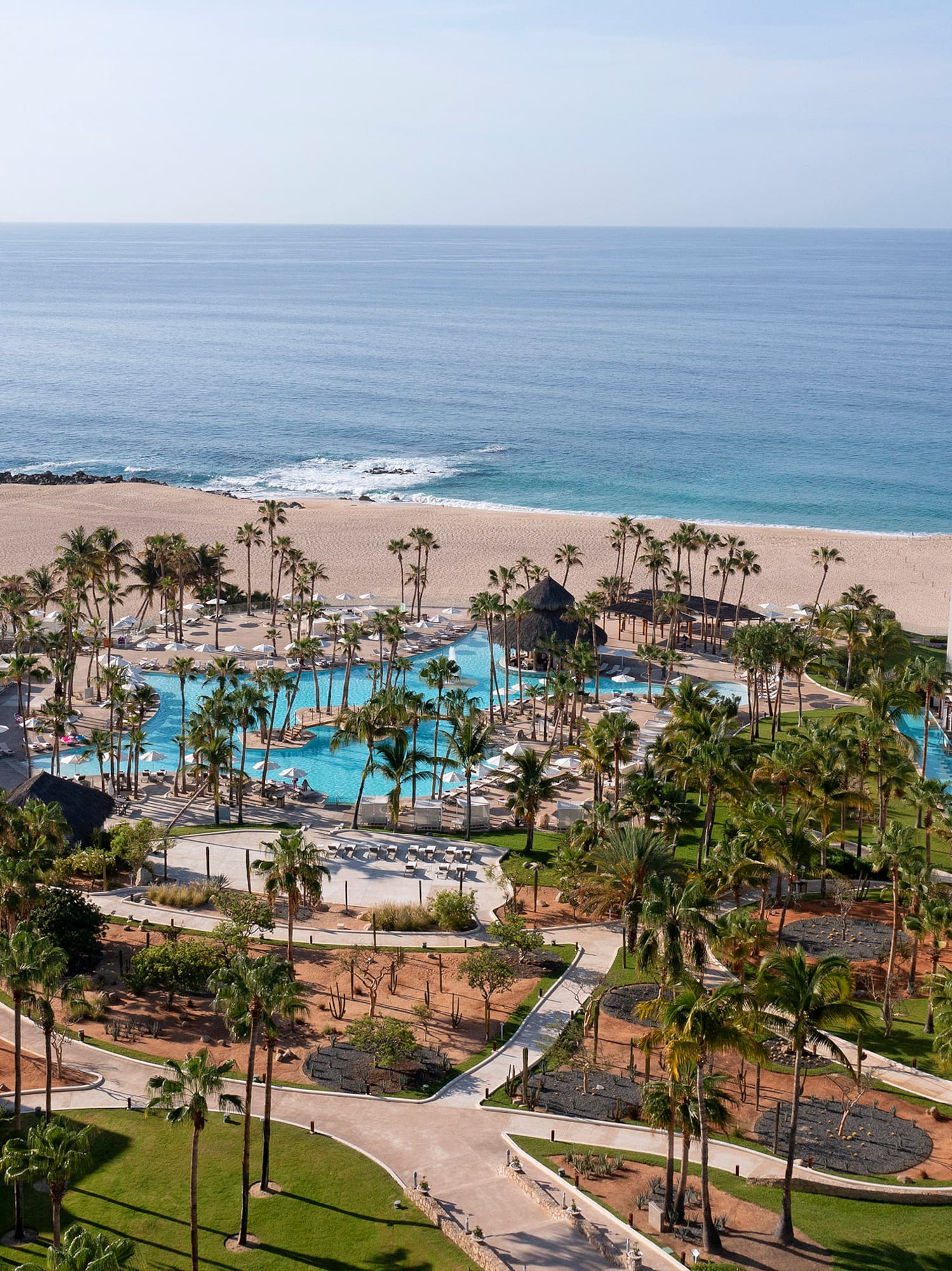 a resort with palm trees and a beach