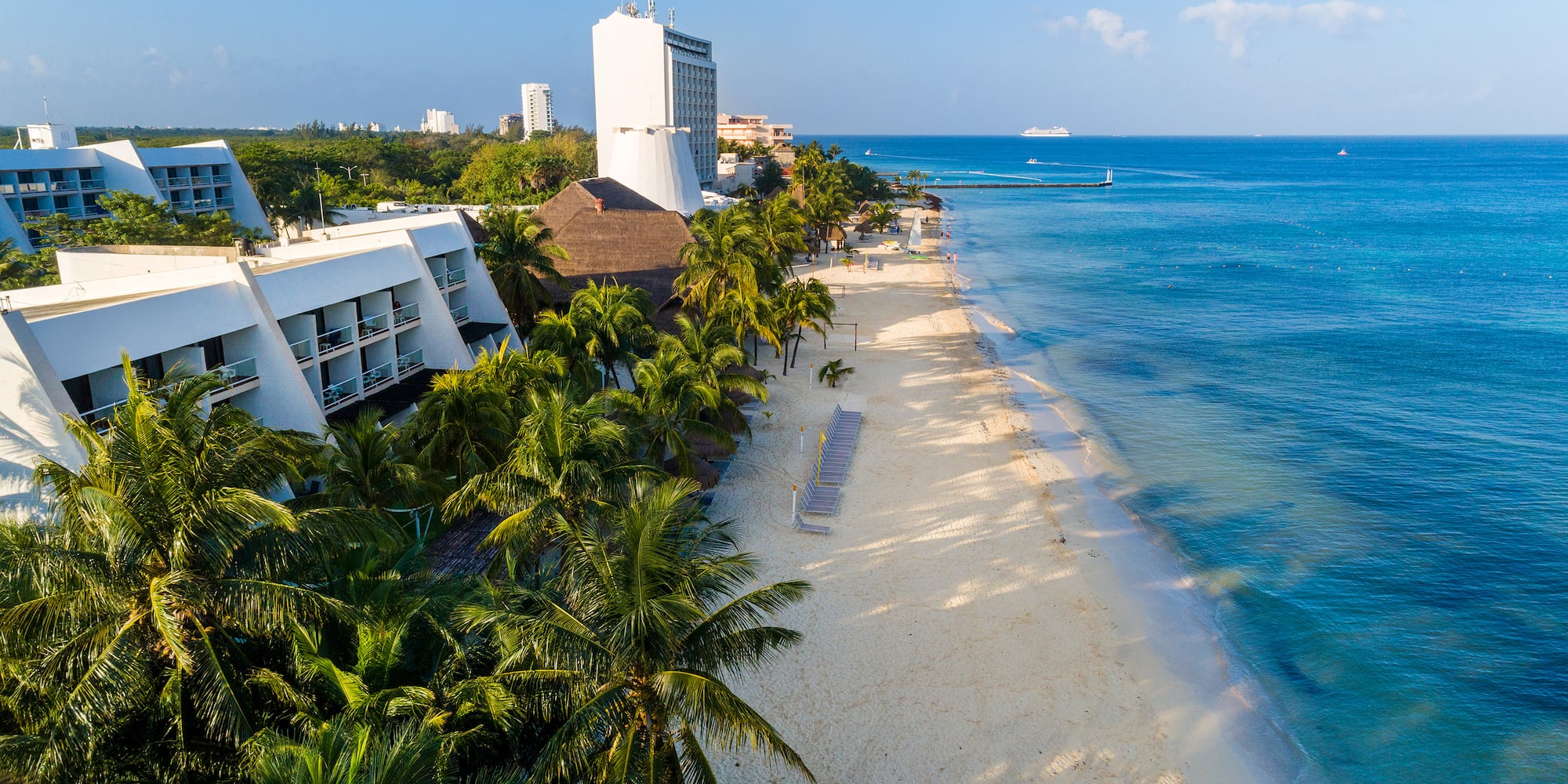 a beach with palm trees and buildings