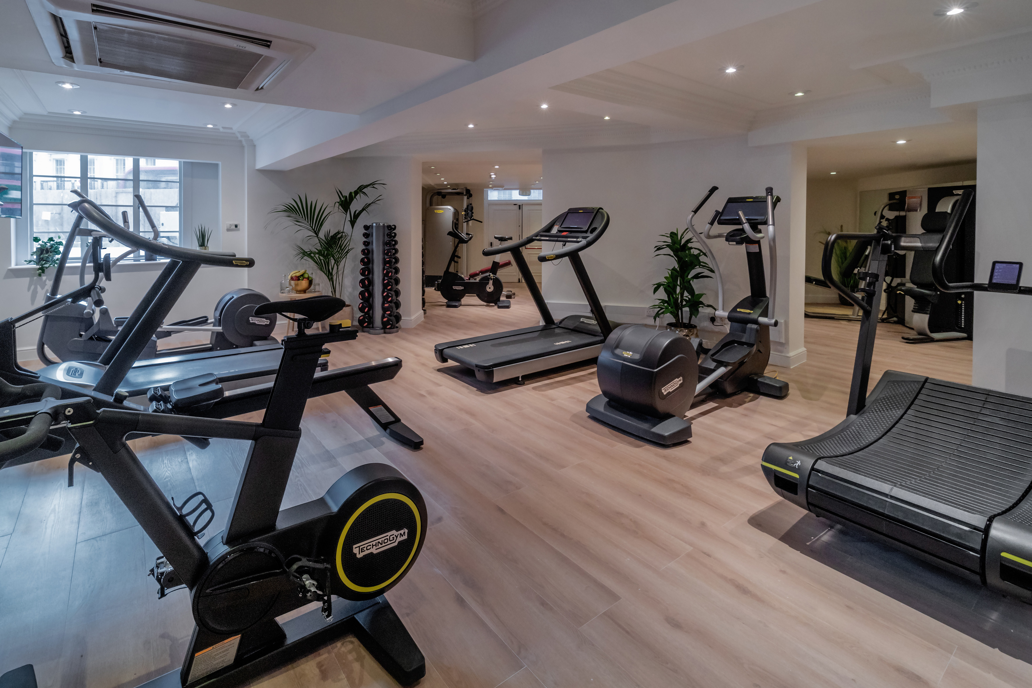 Bright gym with treadmills, ellipticals, exercise bikes, and dumbbells.