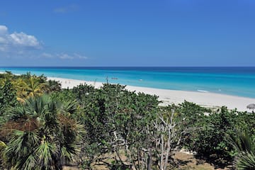 a beach with trees and water