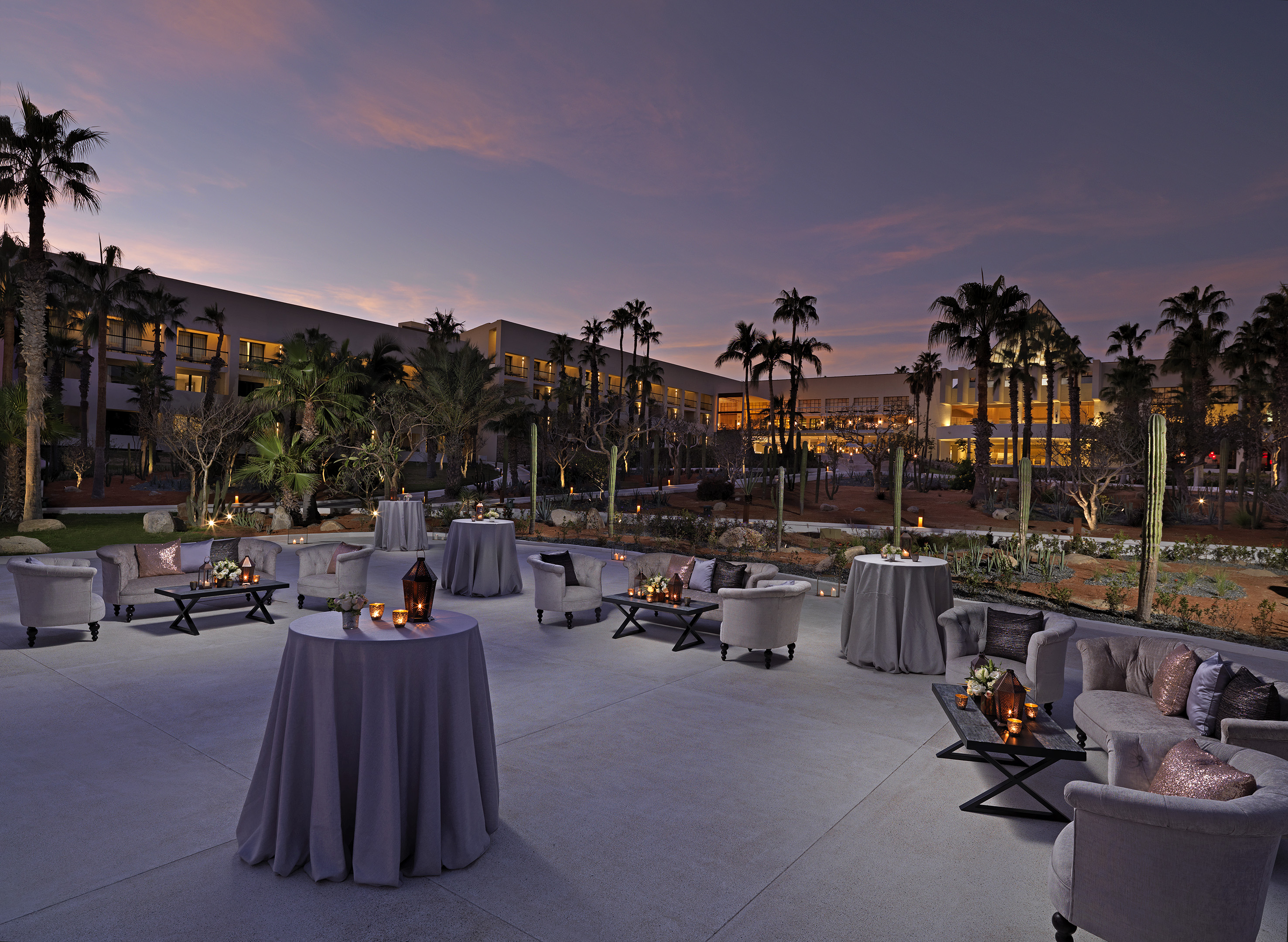 Dusk resort patio with palm trees, elegant lounge seating, and illuminated tables.