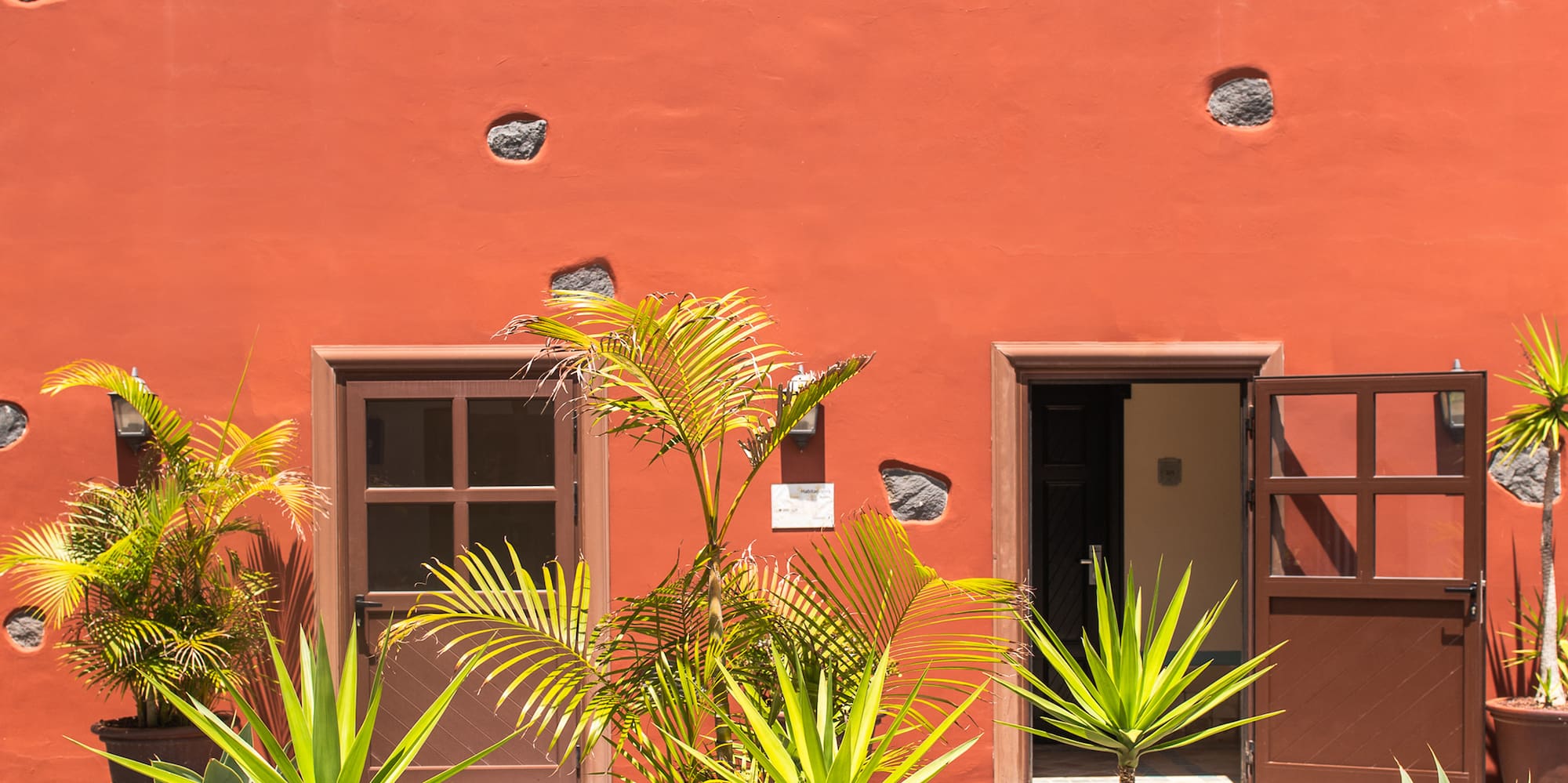 a group of potted plants in front of a building