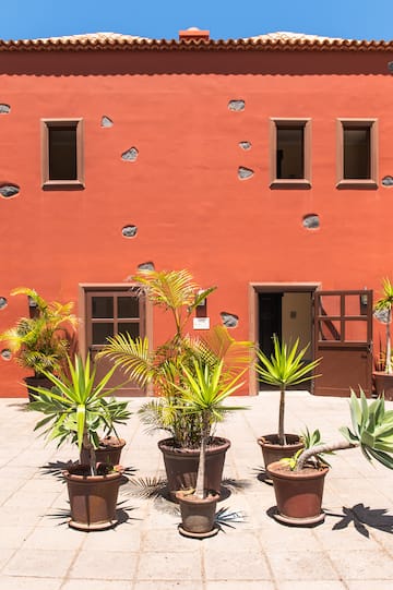 a group of potted plants in front of a building