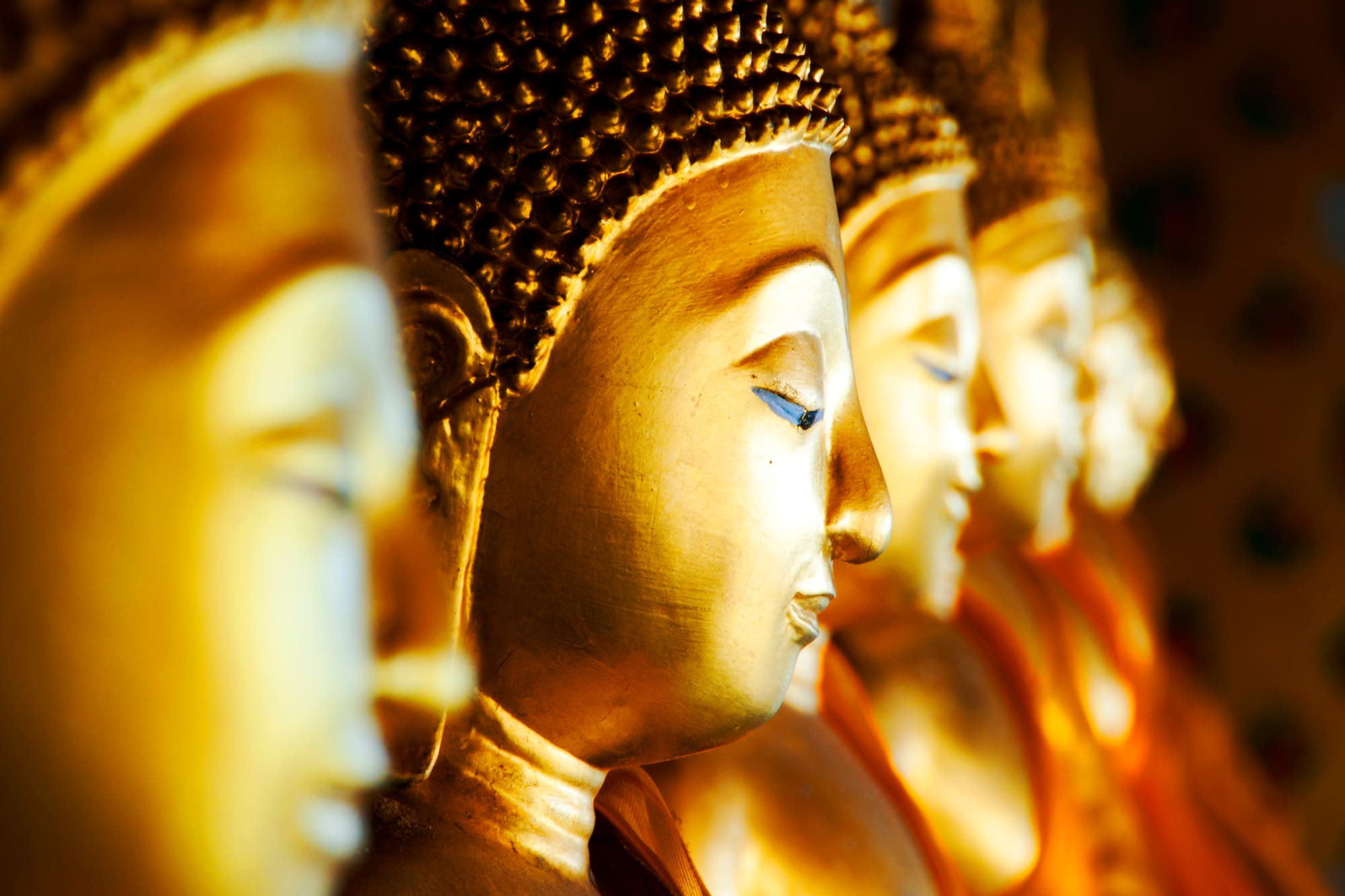 Row of golden Buddha statues with serene expressions in a temple.