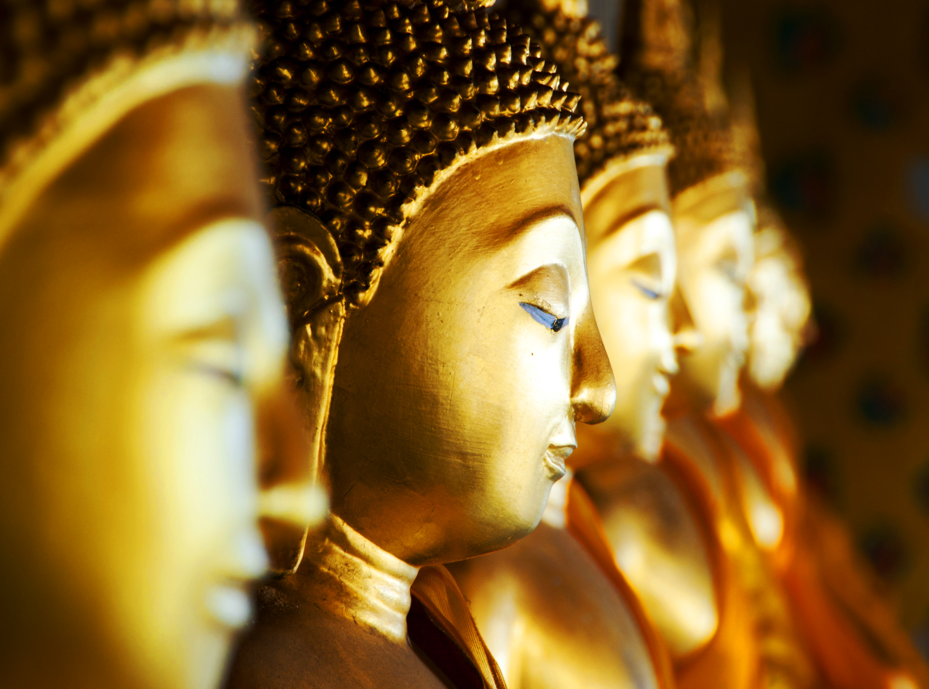 Row of golden Buddha statues with serene expressions in a temple.