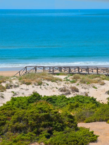 a wooden bridge over a beach