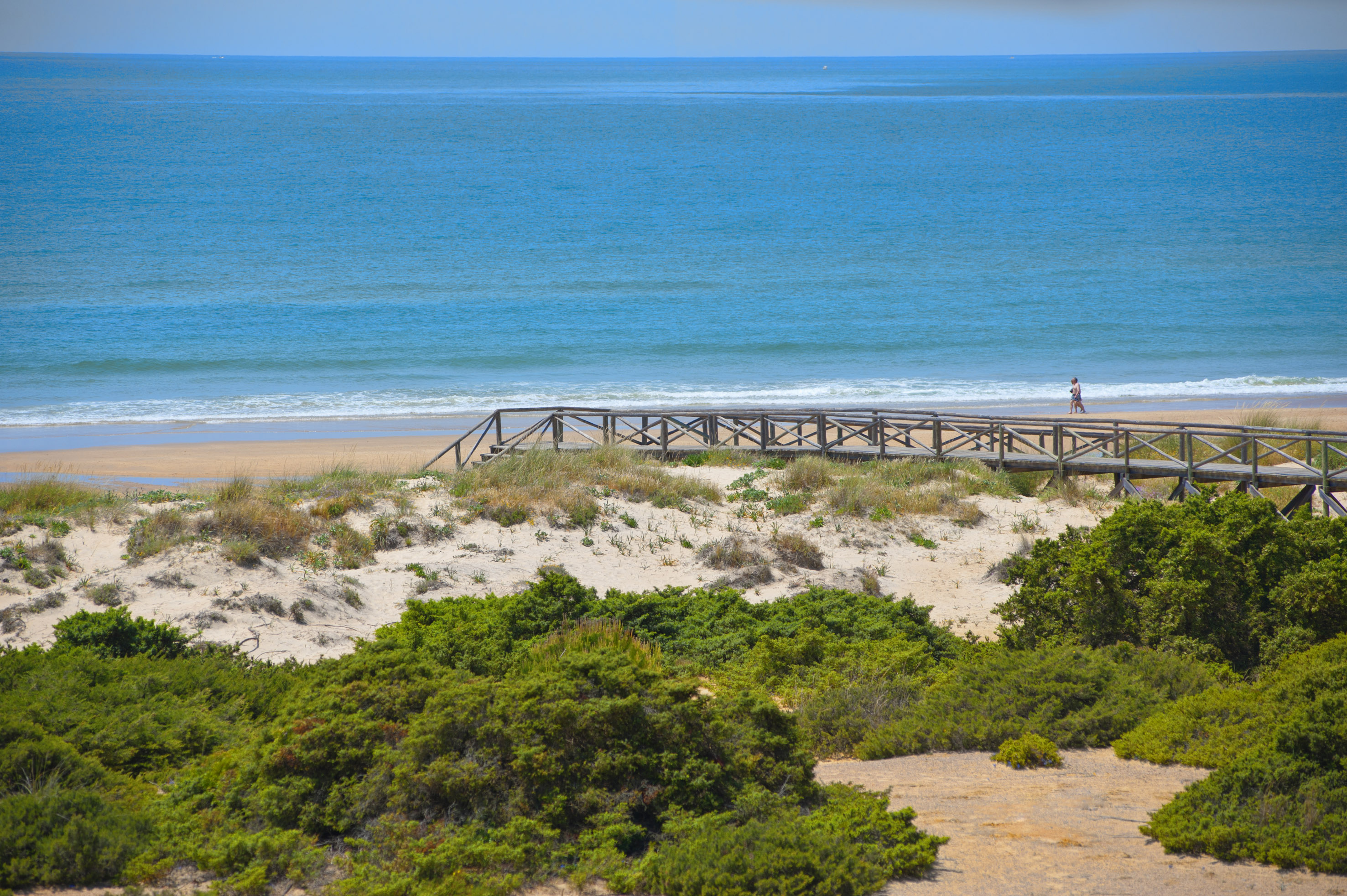 Blue ocean, sandy beach, wooden boardwalk across dunes, person walking.
