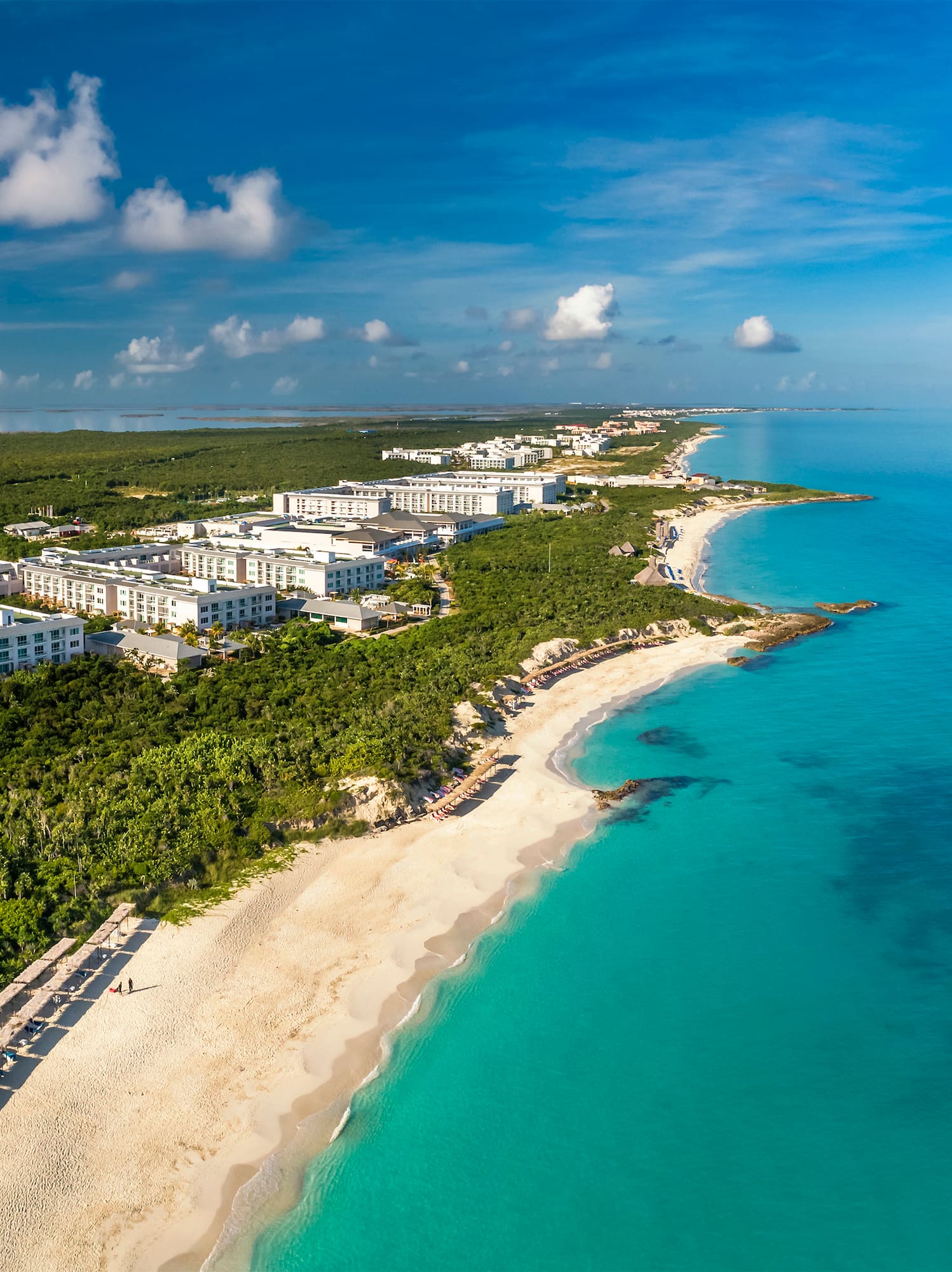 a beach with buildings and trees