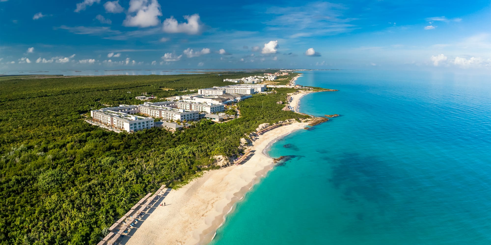 a beach with buildings and trees
