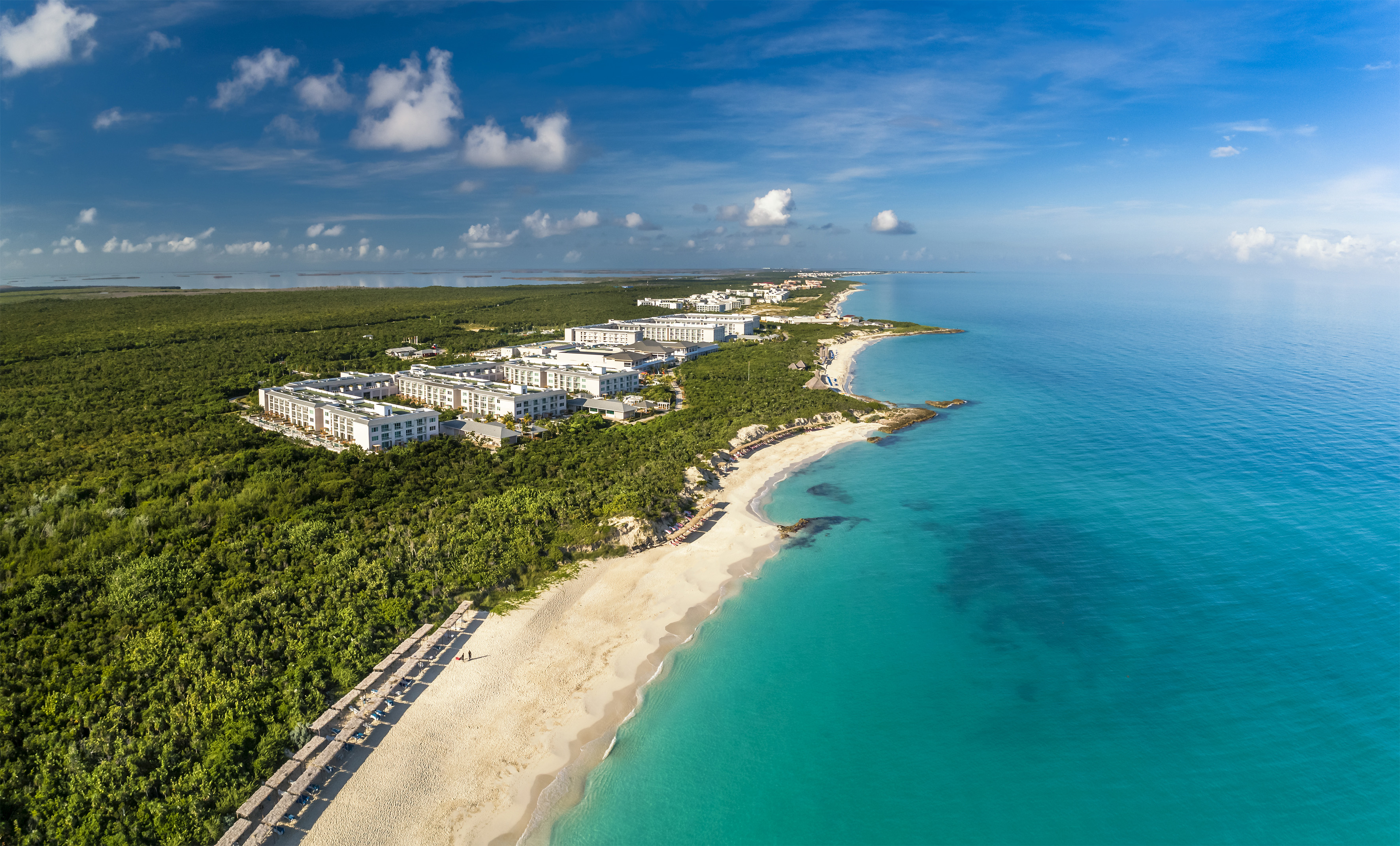 a beach with buildings and trees