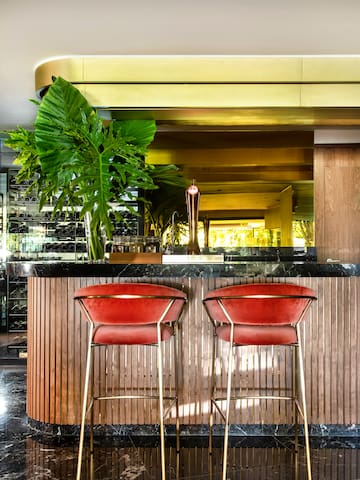 a bar with chairs and a plant in front of it