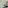 Luxury bathroom: walk-in shower, double vanity, frosted glass panels, black marble.