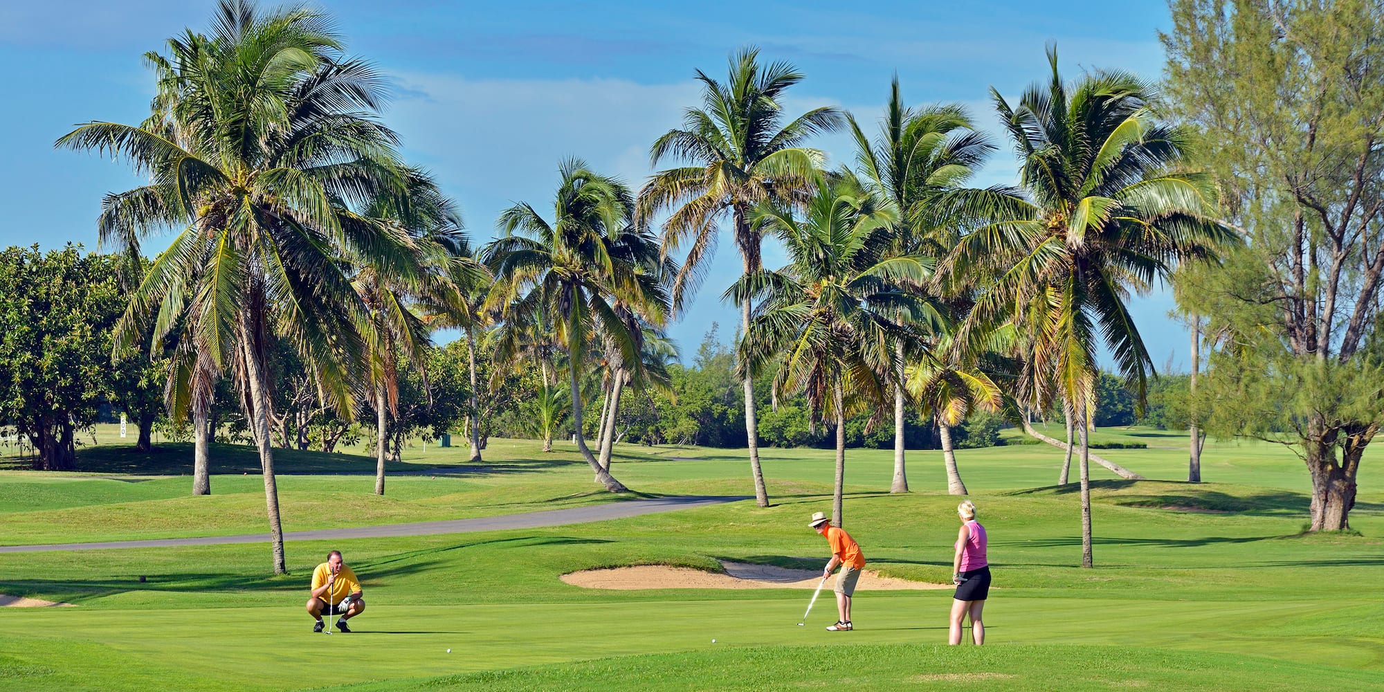 a group of people playing golf